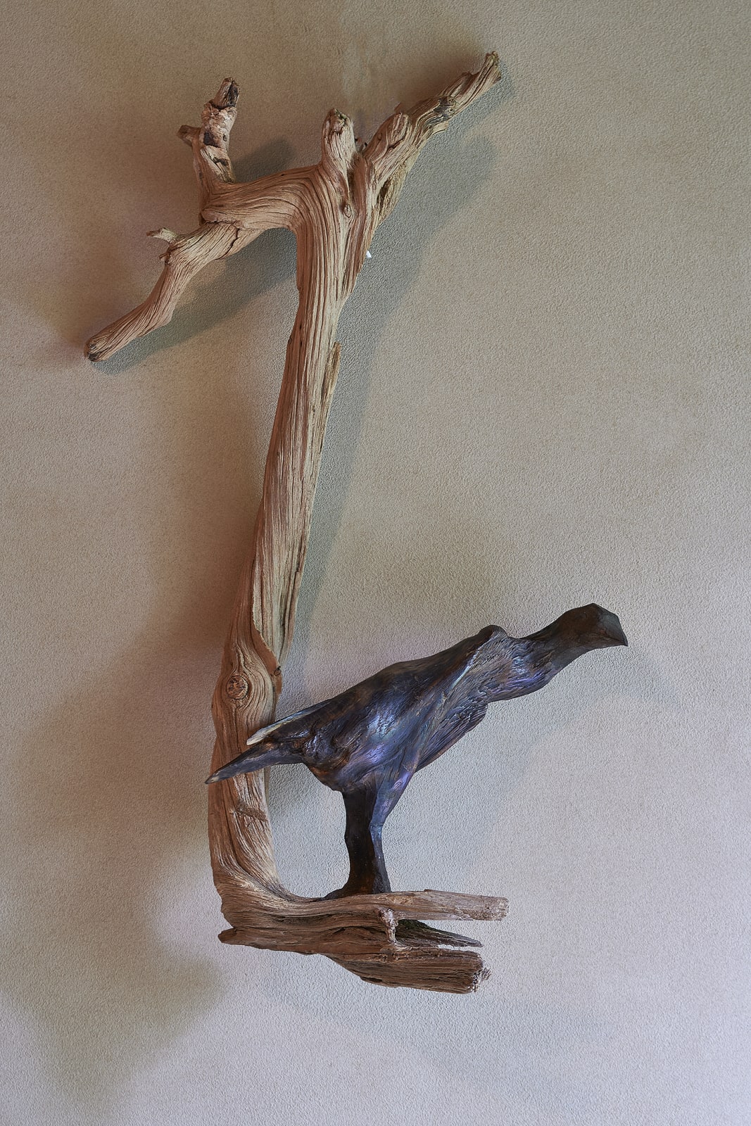 Sho Kishino, Bird, 2017