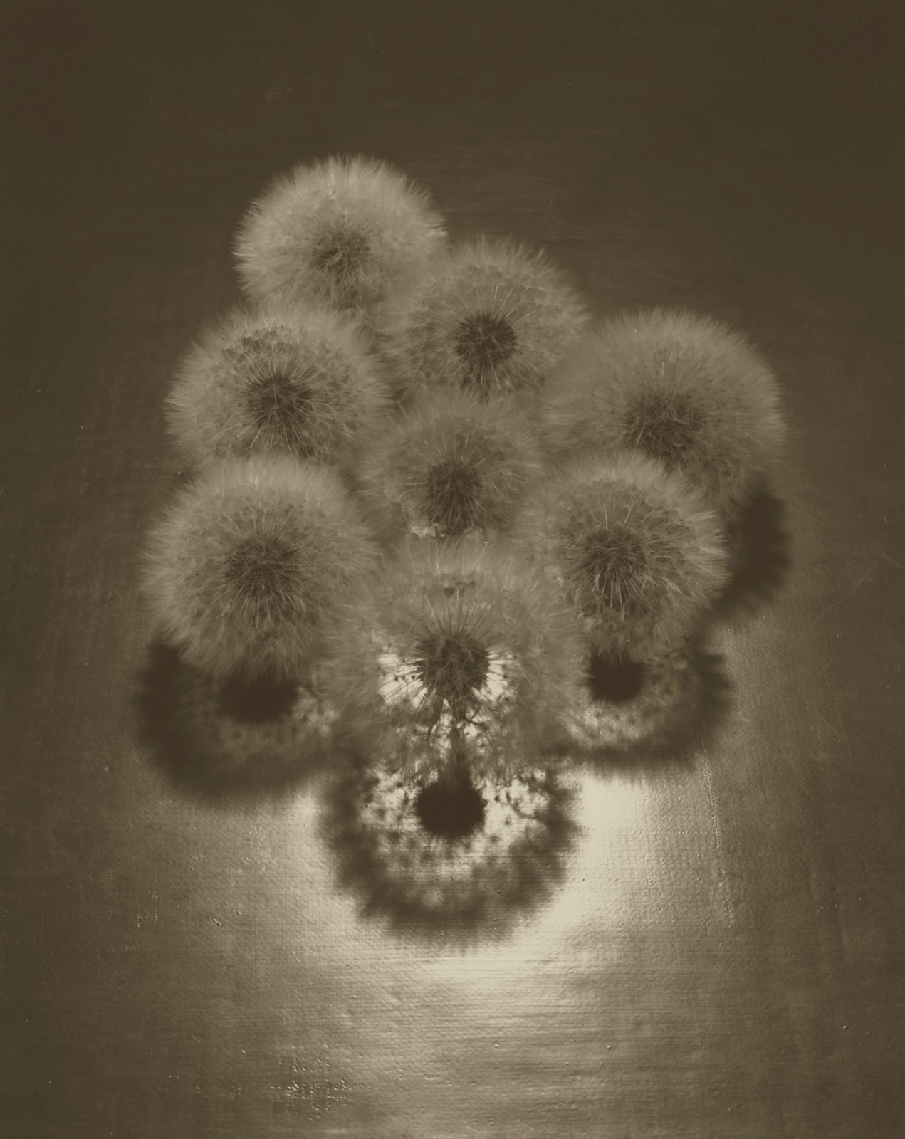 Ryuji Taira, Bound, 2014