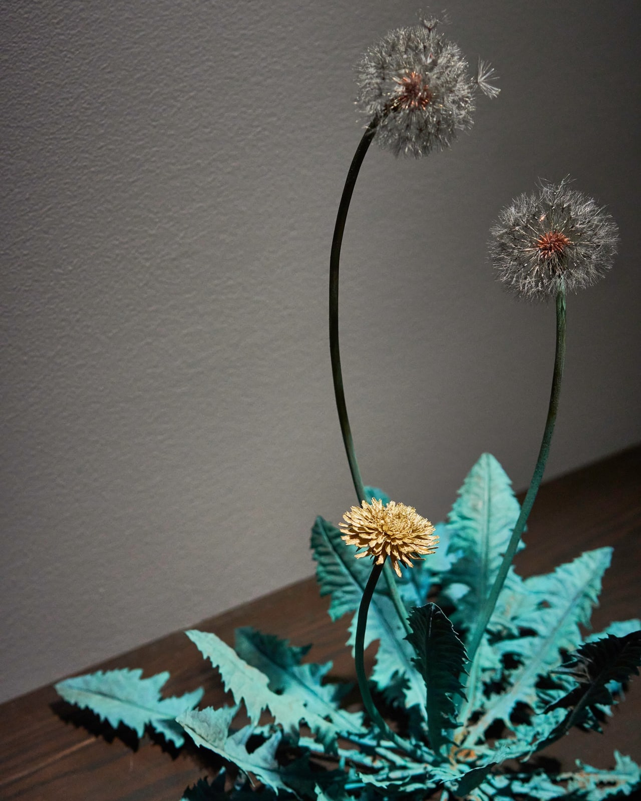 Shota Suzuki, 蒲公英・環 - Dandelion Fluff, 2023