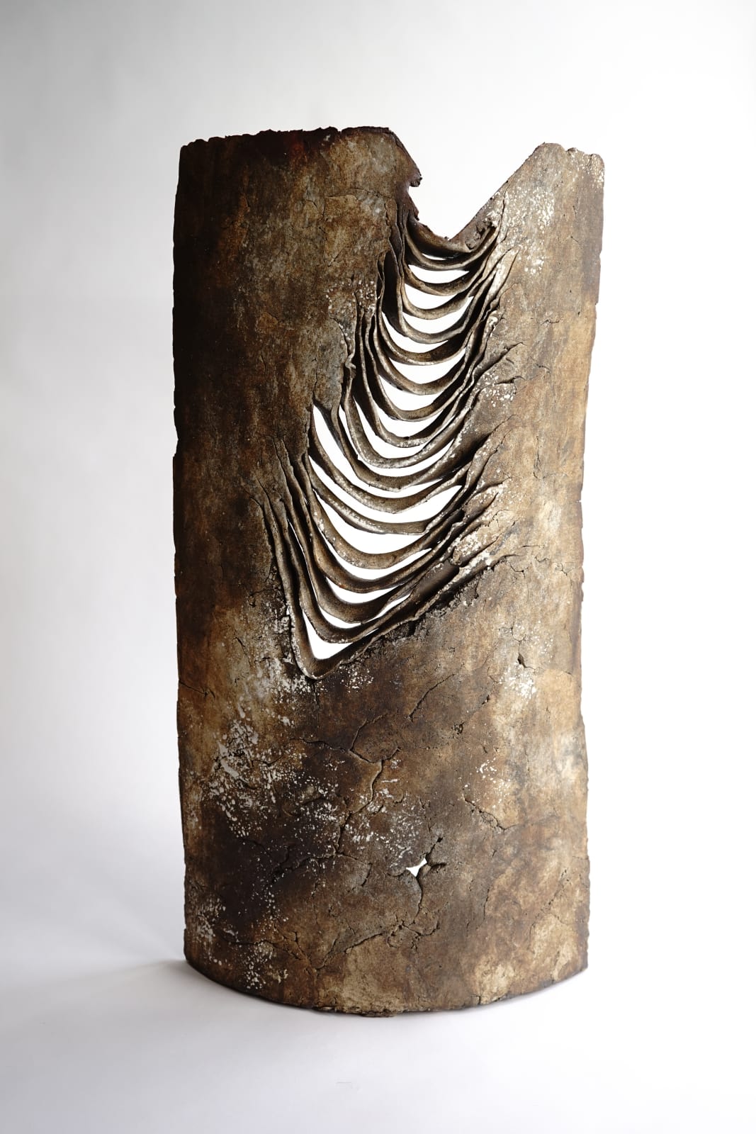 Yukiya Izumita, Sekisoh Wave, 2019