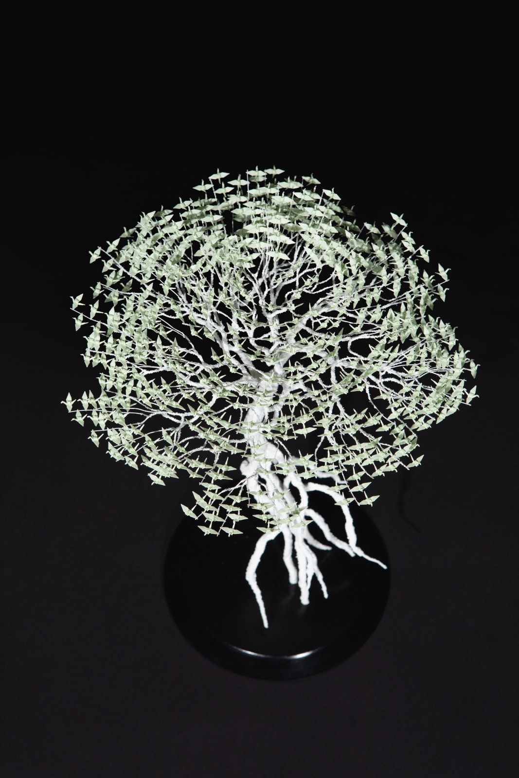 Naoki Onogawa, 「風」, 2017