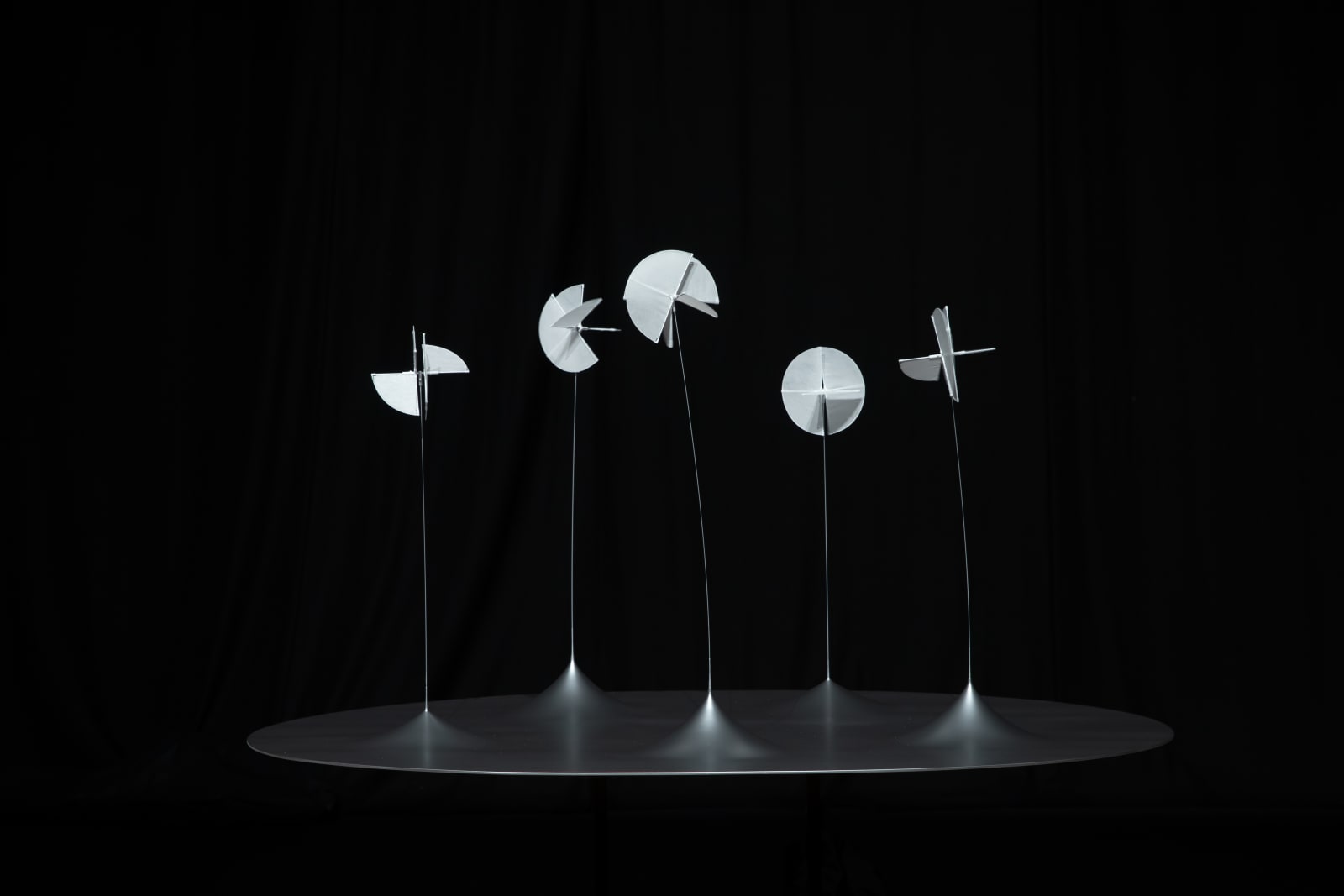 Susumu Shingu, Astral Forest / 星の森 (Edition 2/5), 2013