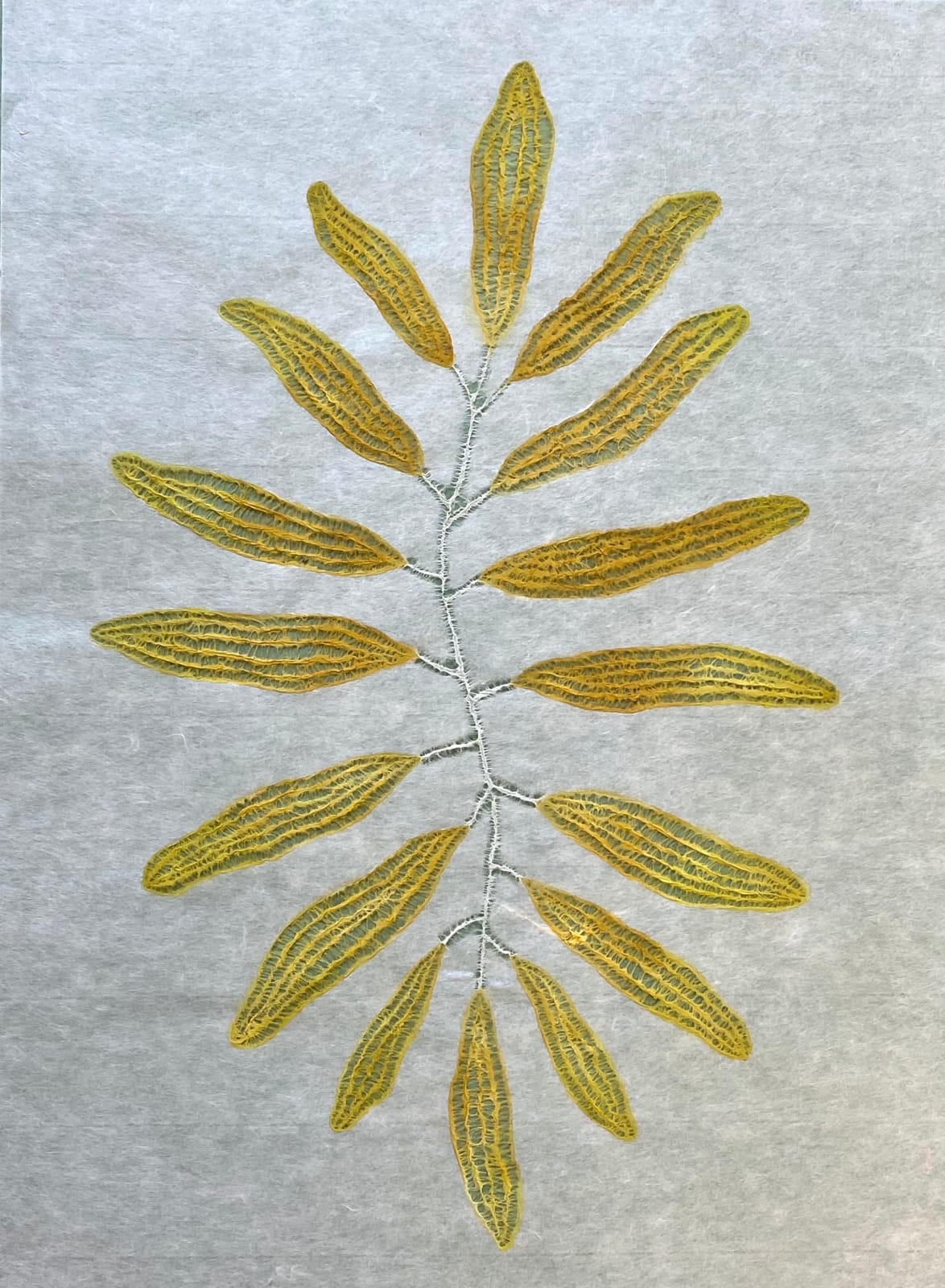 Mami Kato, Plant sway [Framed], 2023