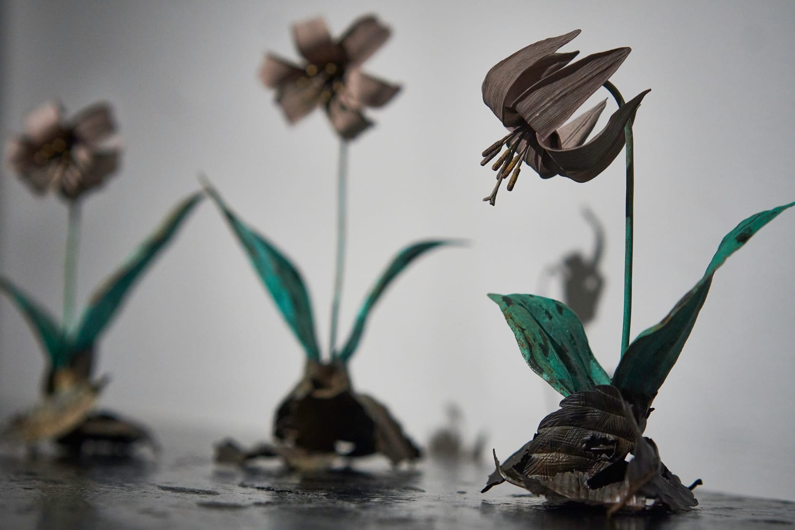Shota Suzuki, 片栗 - Lily, 2023