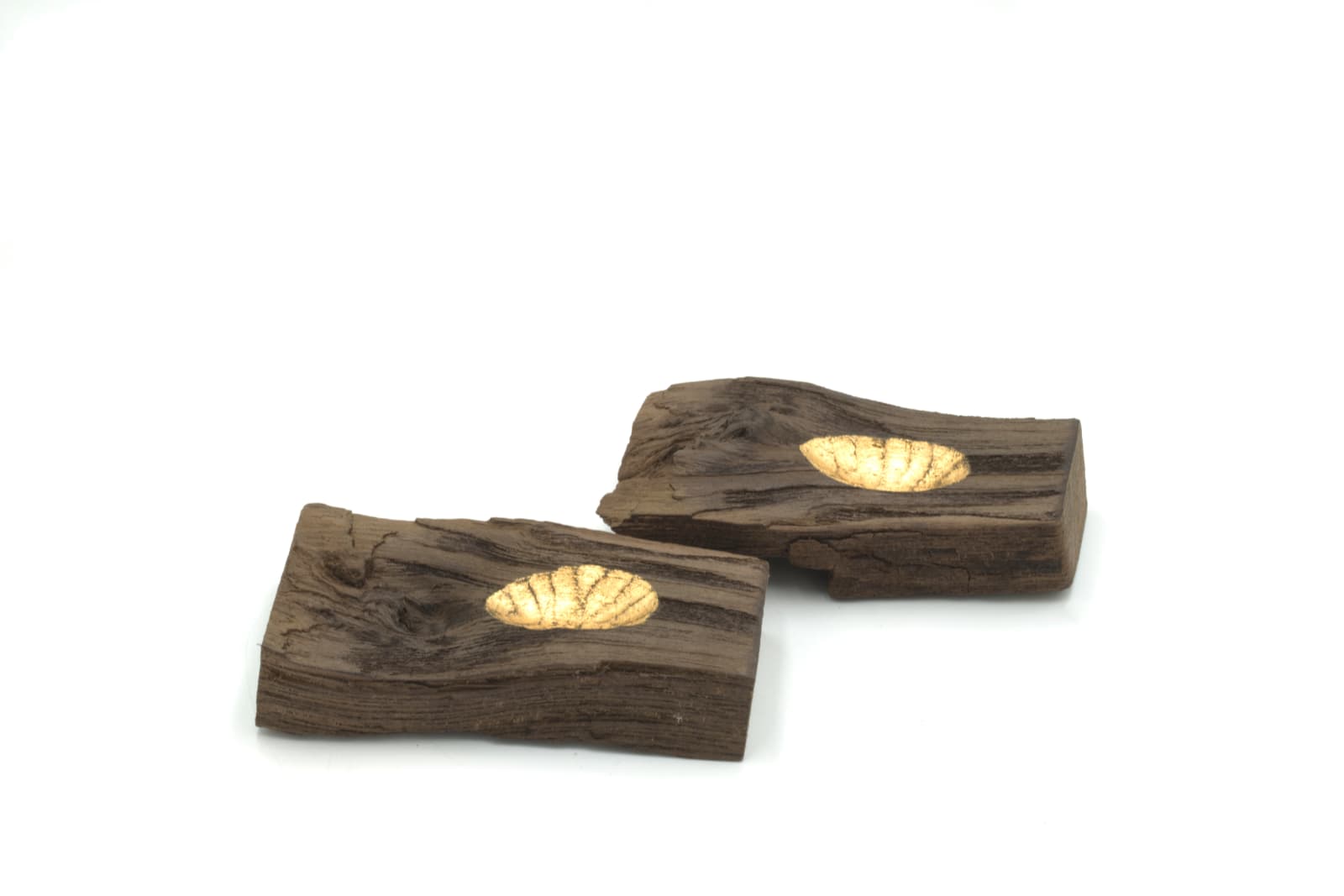 Jihei Murase, Ancient Zelkova Incense Holder, 2022