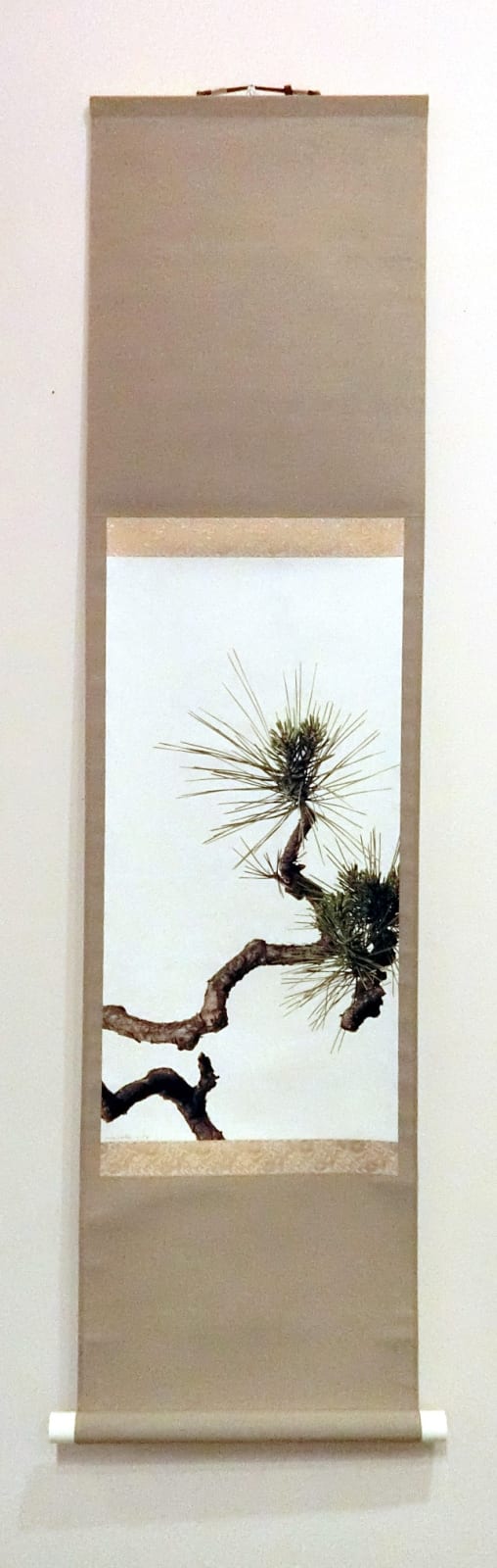 Takashi Tomo-oka, Pine 6, Matsu, 2016