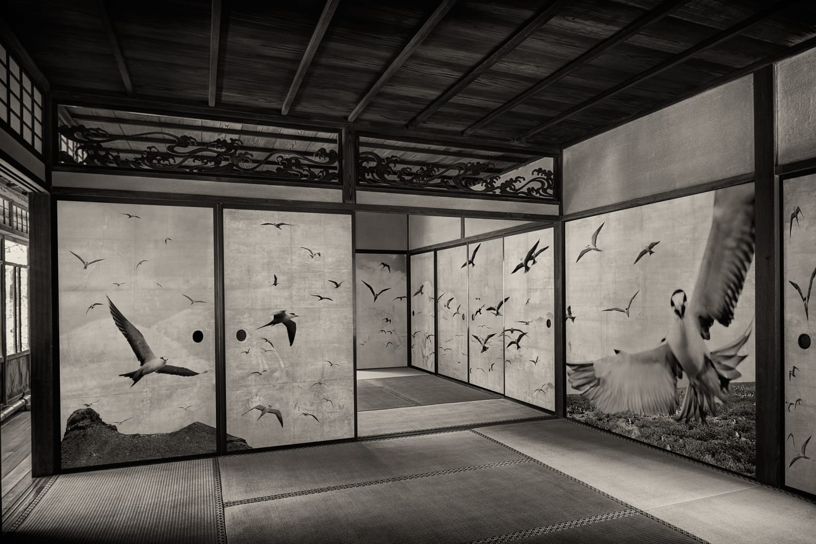 Kenji Wakasugi, Flock (Japan and Marquesas Islands), 2016