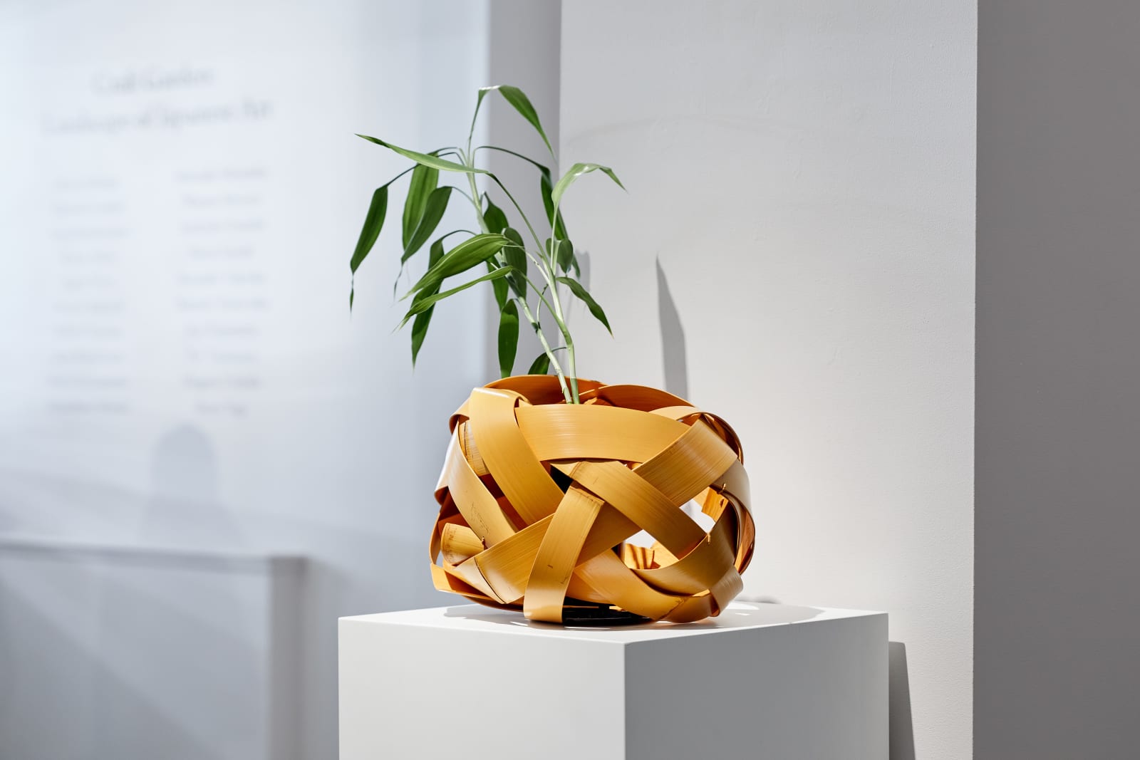 Hafu Matsumoto, Noshitake Bamboo Basket のし竹花籠