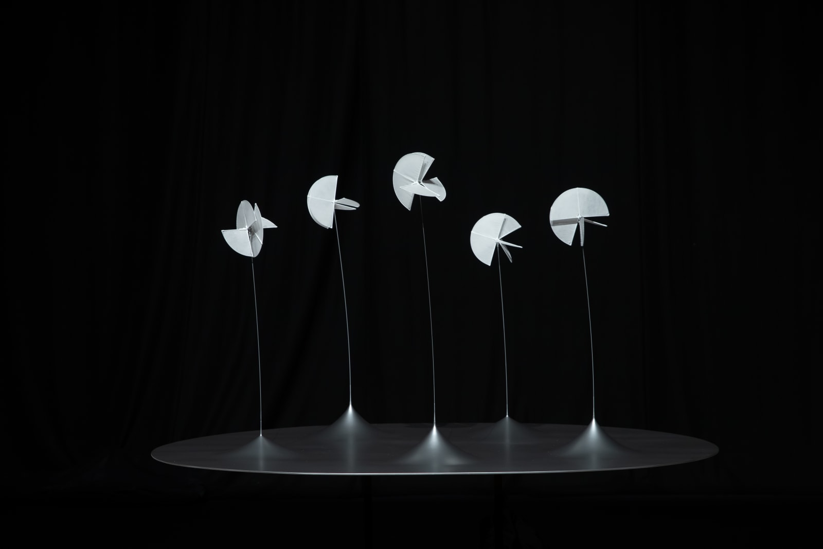 Susumu Shingu, Astral Forest / 星の森 (Edition 2/5), 2013