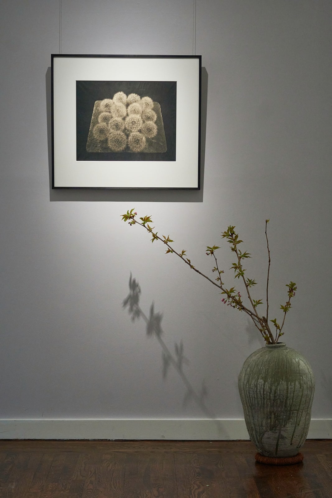 Ryuji Taira, Tanpopo #2, 2004