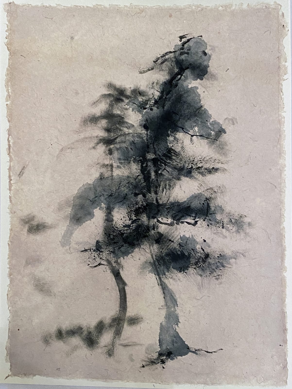 Tadataka Kishino, A Great Pine Tree
