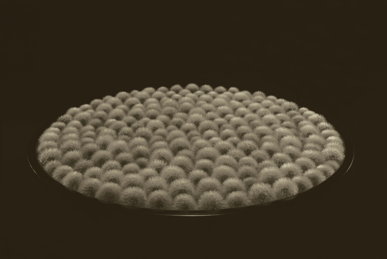 Ryuji Taira, 200 Two Hundred, 2014