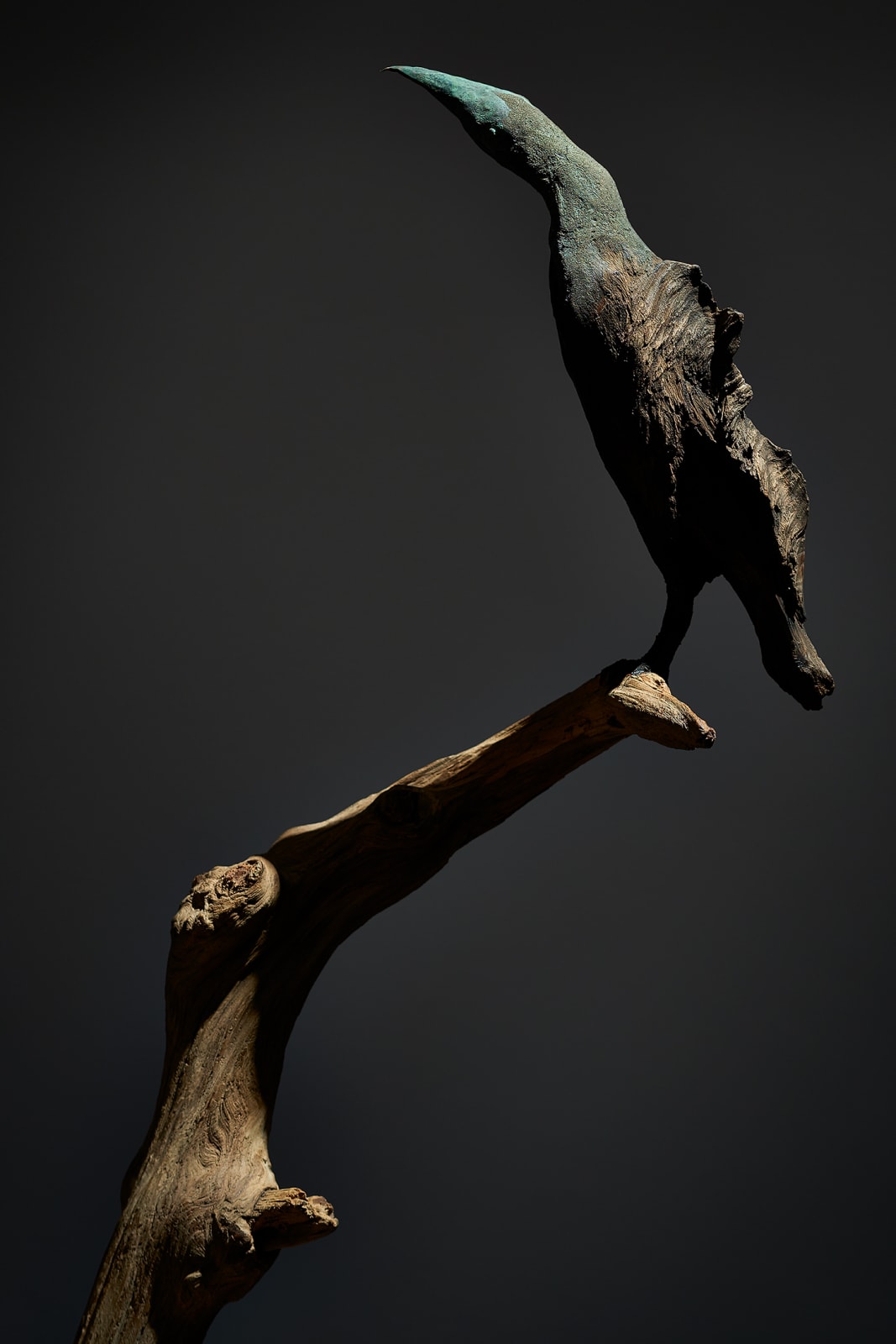 Sho Kishino, Bird, 2019
