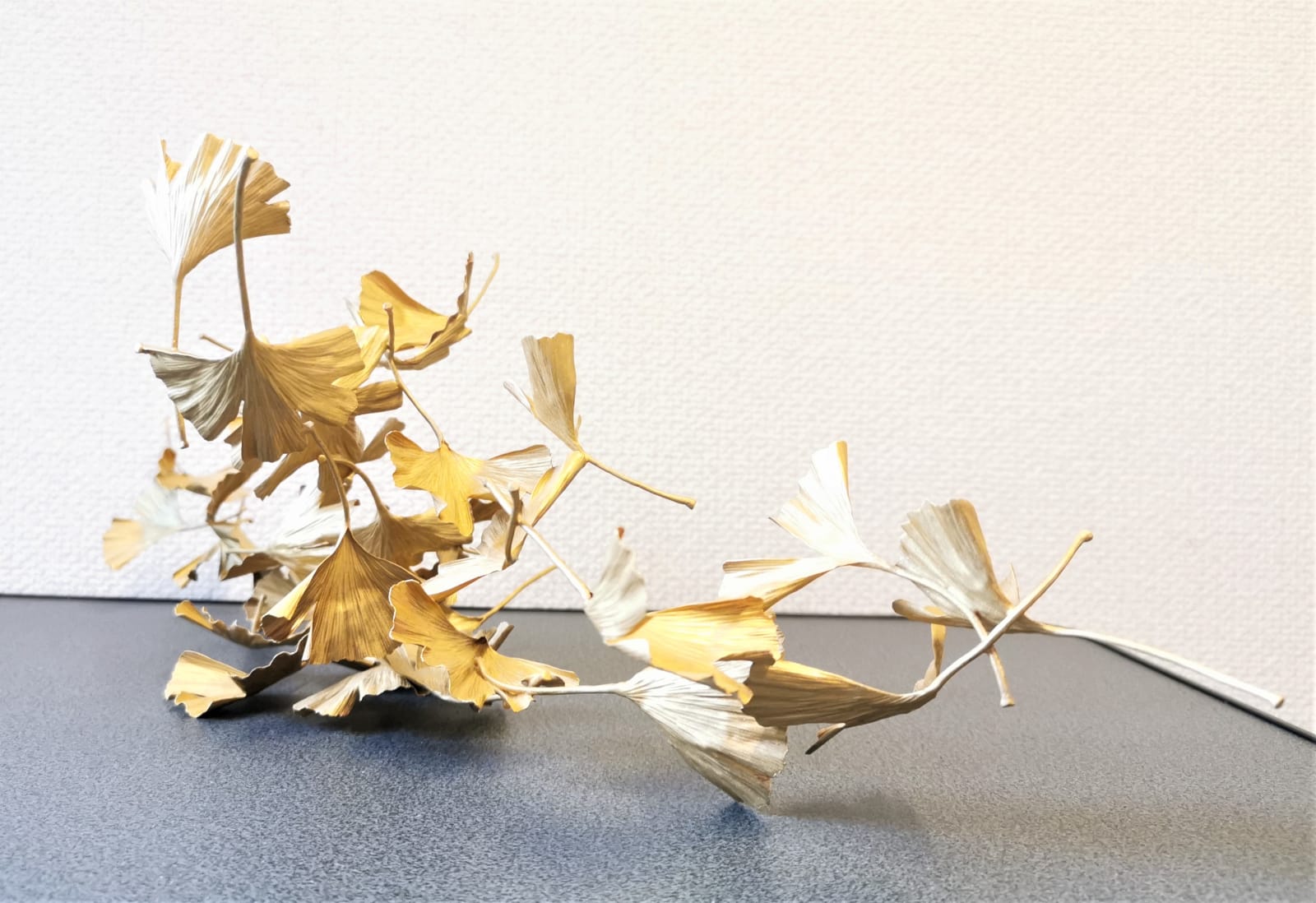 Shota Suzuki, Blowing Ginkgo, 2018