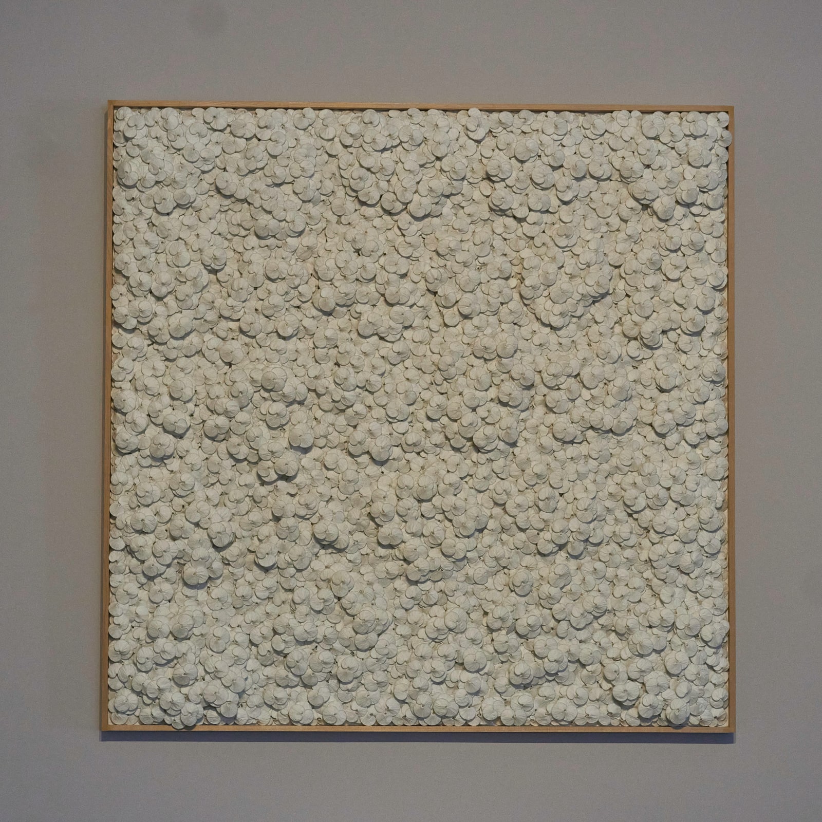 KAKU, Untitled 無題 , 2024