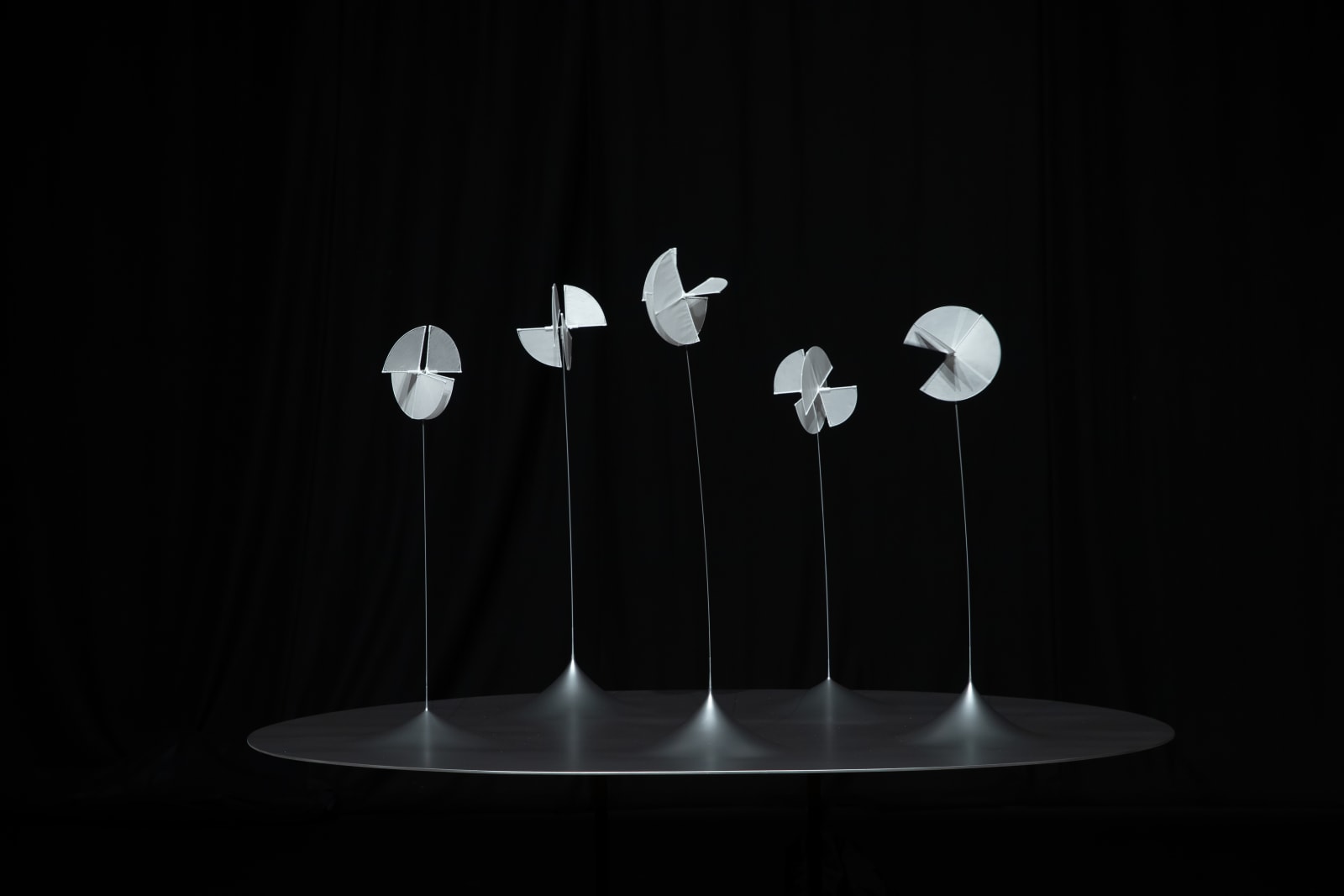 Susumu Shingu, Astral Forest / 星の森 (Edition 2/5), 2013