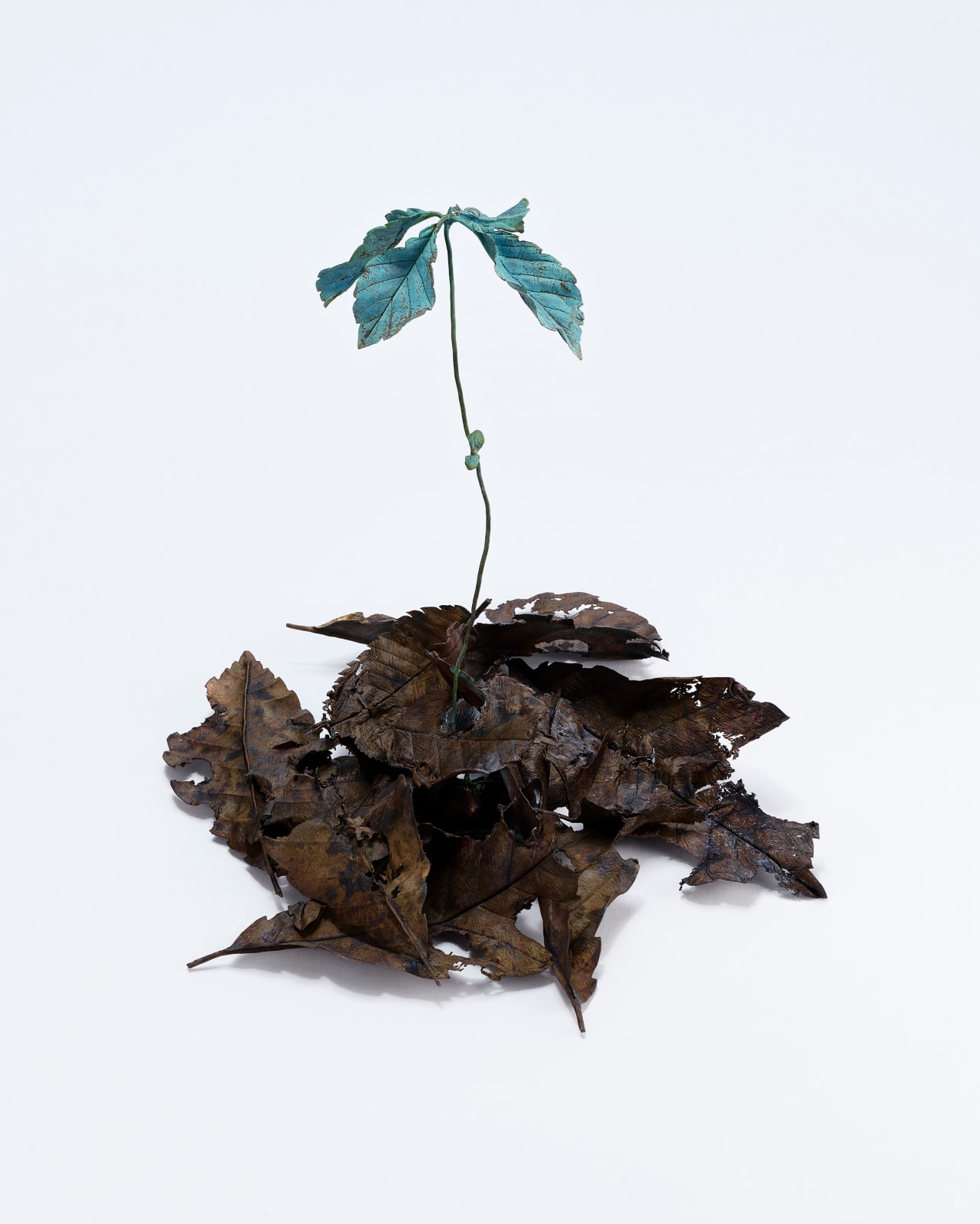 Shota Suzuki, 天地 - Ametsuchi, 2023 | Ippodo Gallery