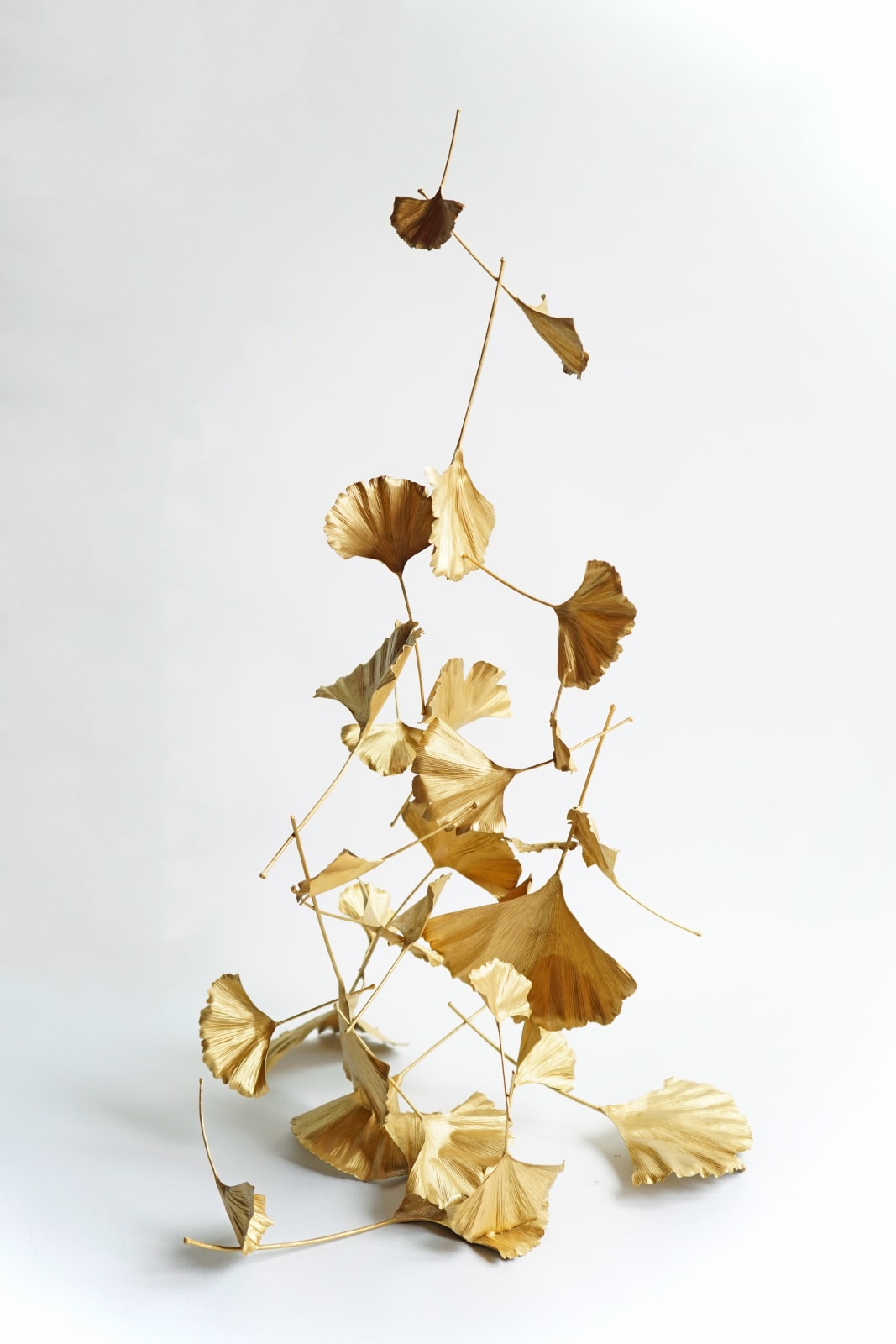 Shota Suzuki, Blowing Leaves Ginkgo, 2025