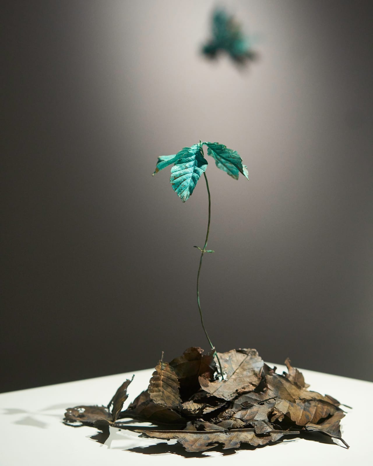 Shota Suzuki, 天地 - Ametsuchi, 2023 | Ippodo Gallery
