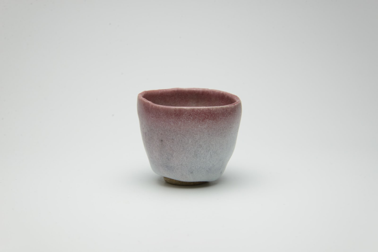 Shin Fujihira, Cinnabar Cup, 1990