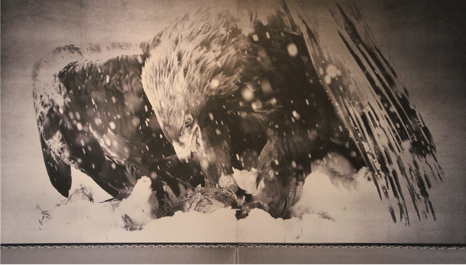 Kenji Wakasugi, Snowy Eagle (Japan), 2016