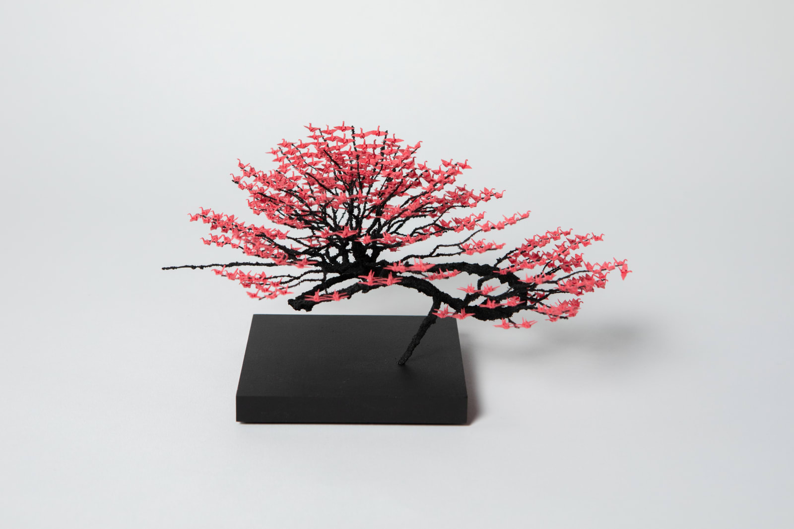 Naoki Onogawa, 「mira」