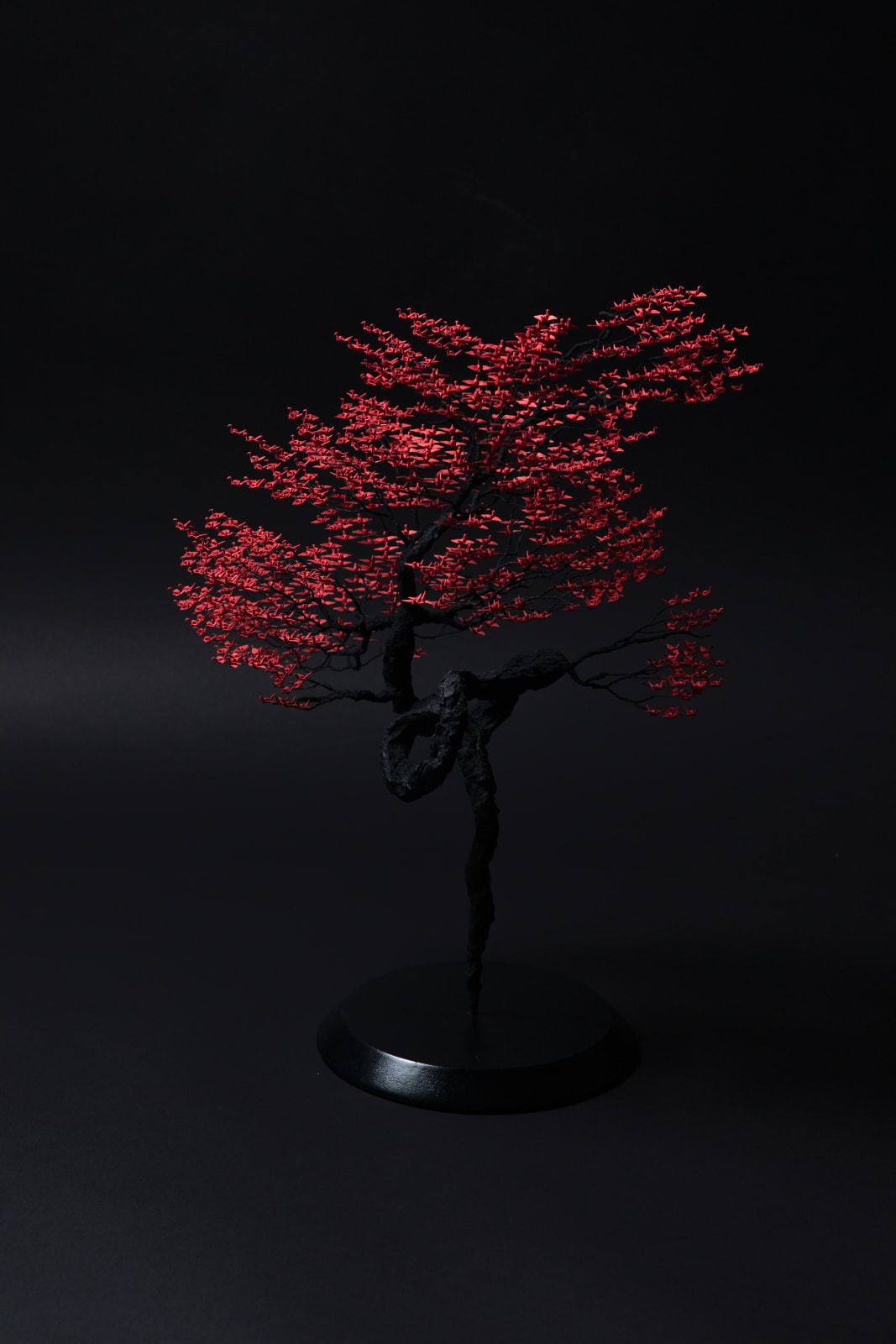 Naoki Onogawa, 「峯」