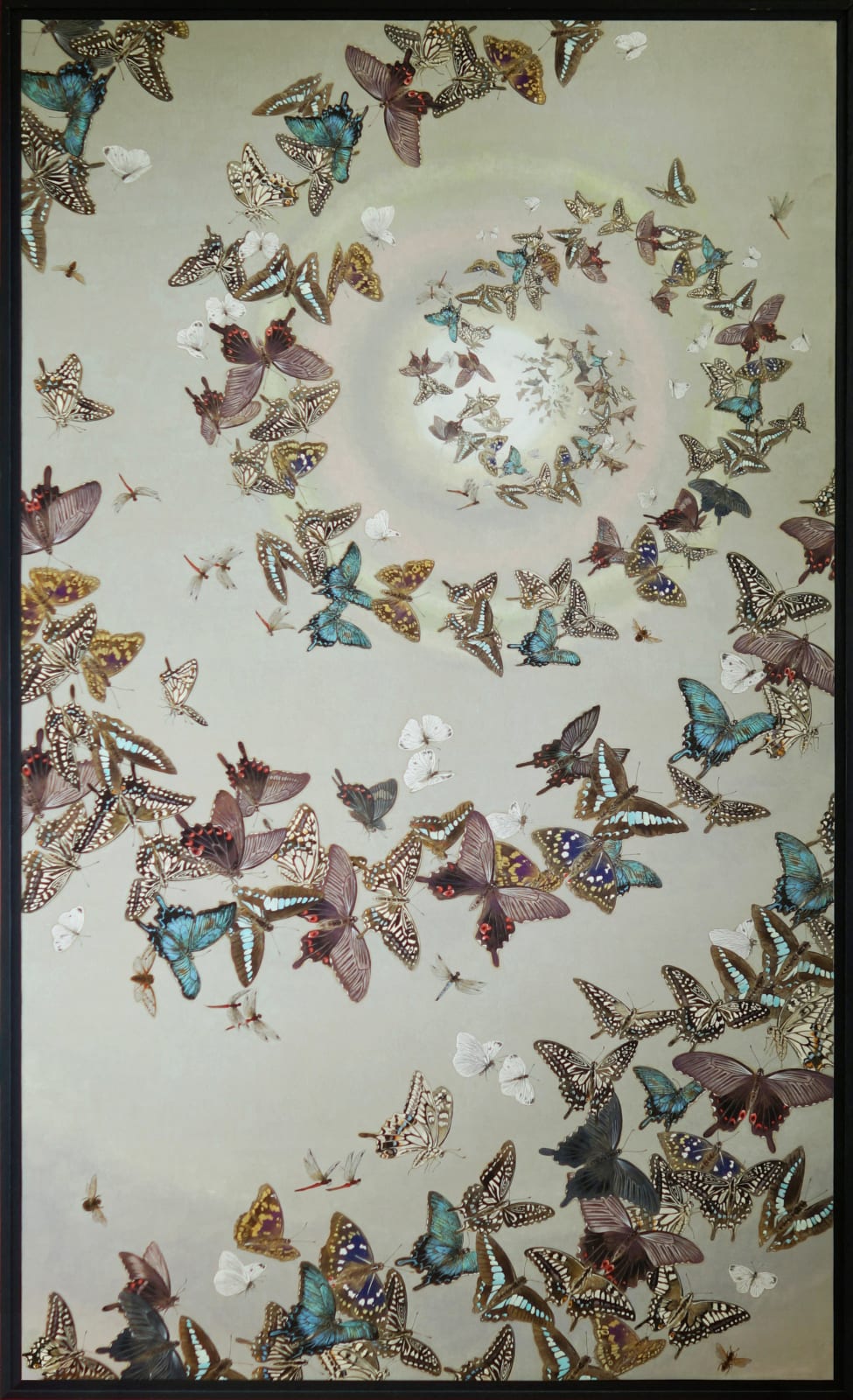 Daisuke Nakano, 十態図「めぐる」, Butterfly, ‘Circling’