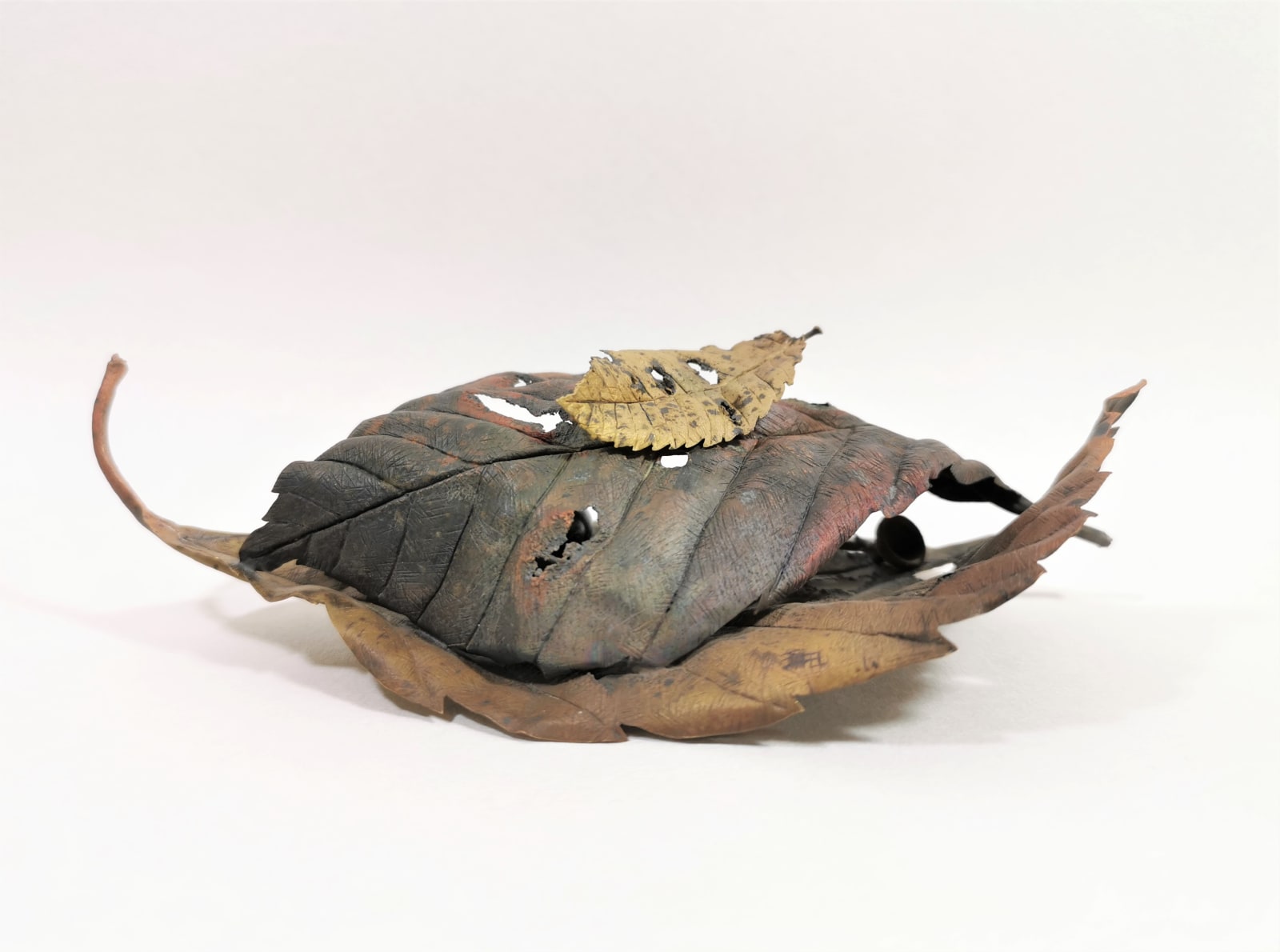 Shota Suzuki, Small Autumn, 2020