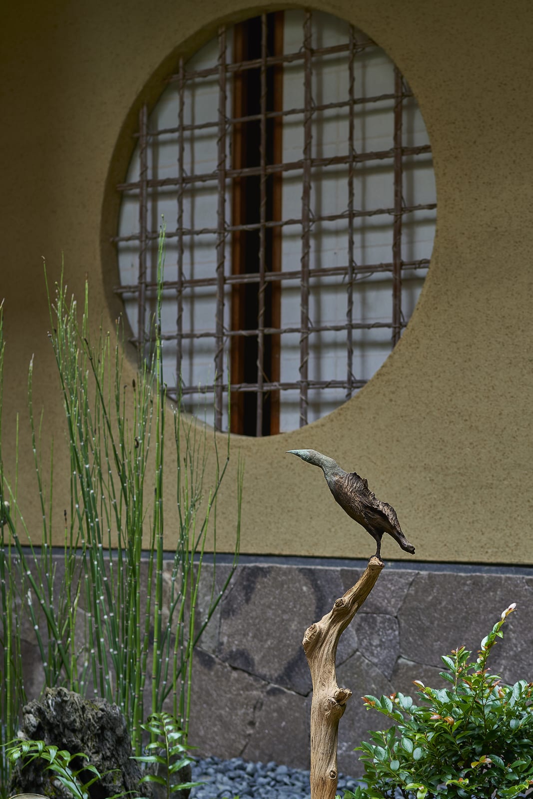 Sho Kishino, Bird, 2019