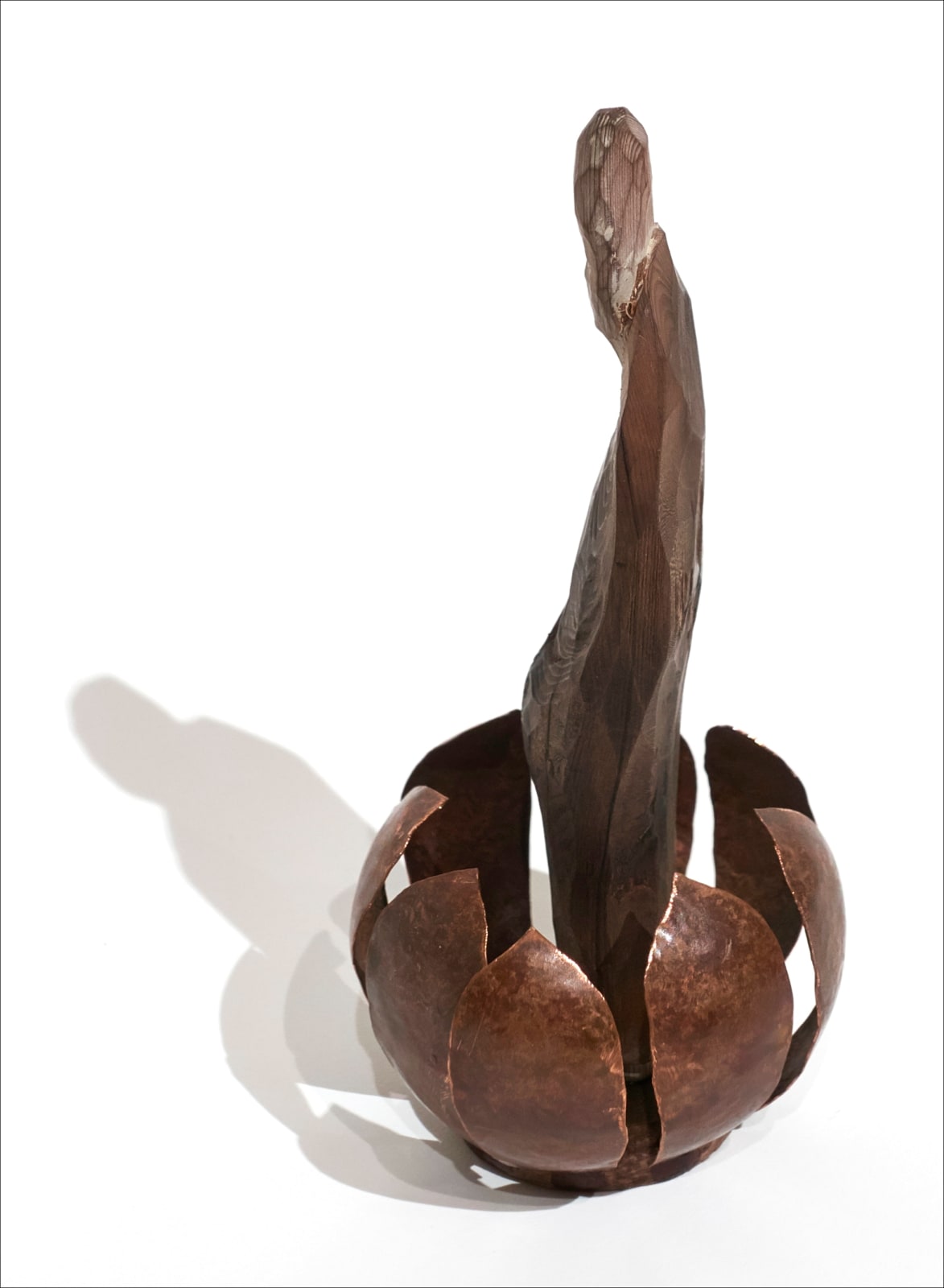Sho Kishino, Buddha, 2014
