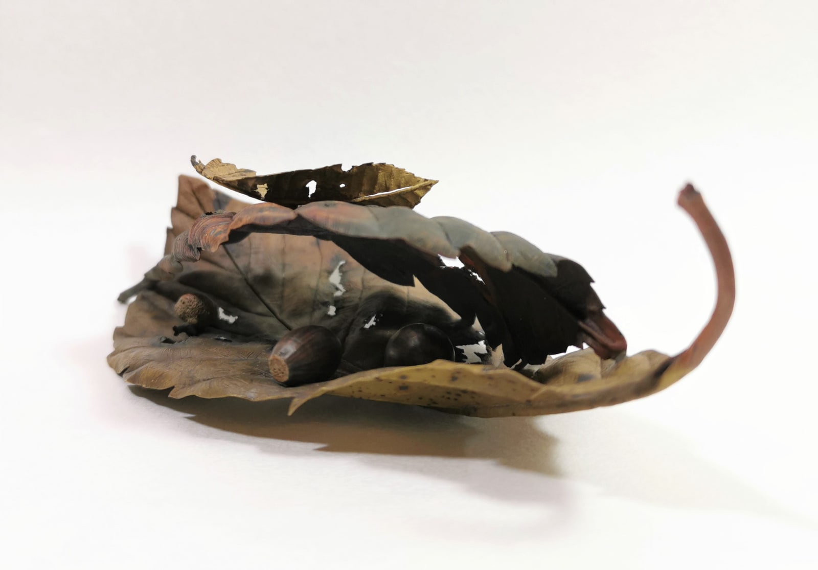 Shota Suzuki, Small Autumn, 2020