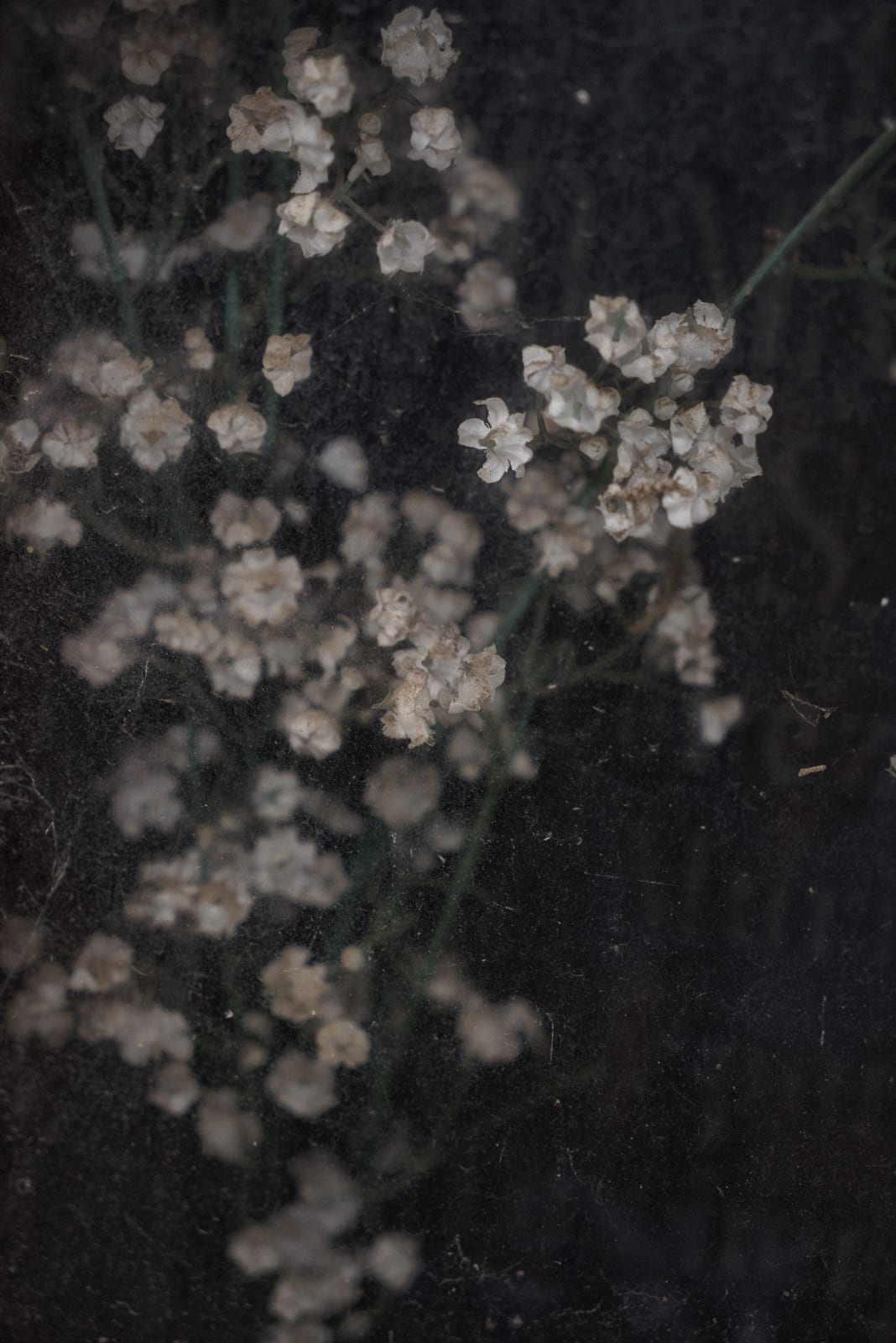 Christopher Thomas, Eternity 79, 2006