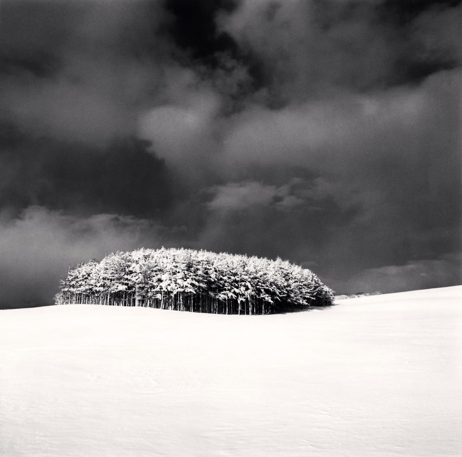Michael Kenna, White Copse, Study 3, Wakkanai, Hokkaido, Japan, 2004