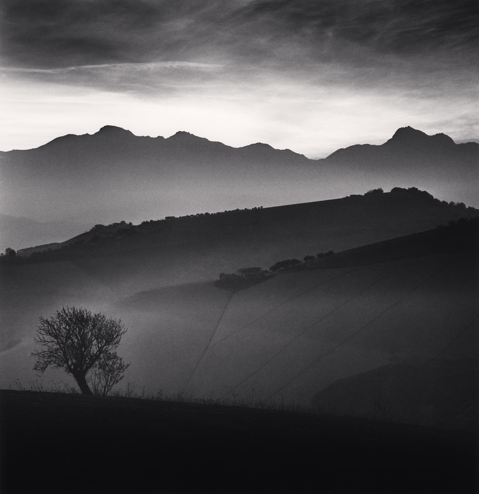 Michael Kenna, Tree and Gran Sasso Mountain, Castilenti, Abruzzo, 2015
