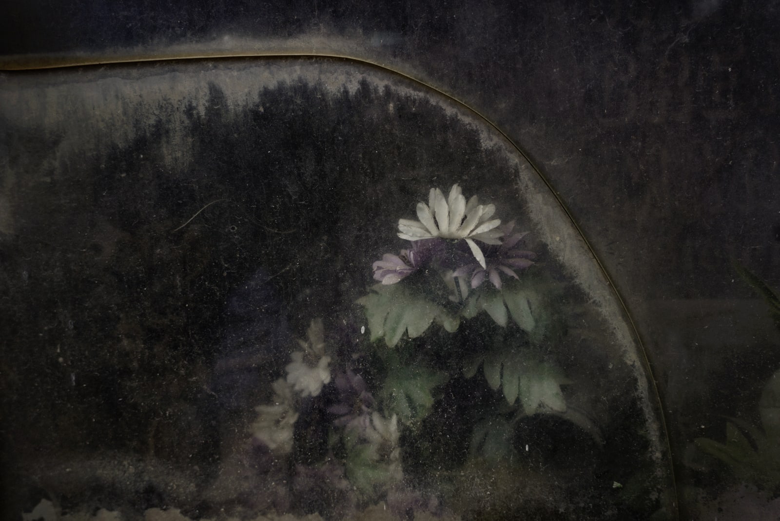 Christopher Thomas, Eternity 17, 2009