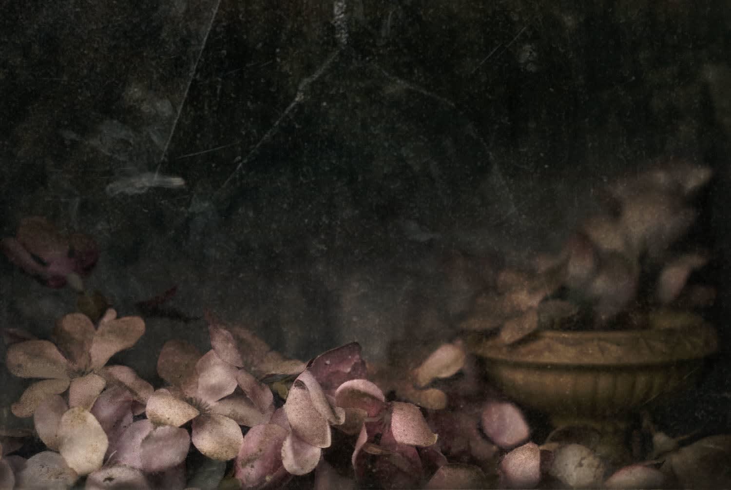 Christopher Thomas, Eternity 22, 2009