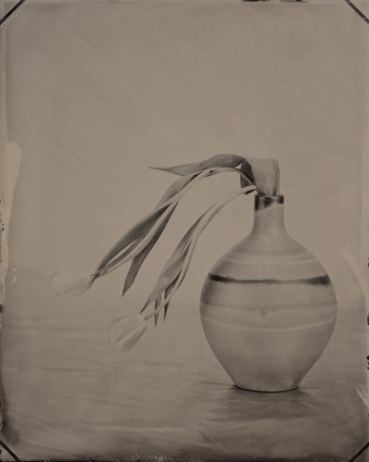 Steffen Diemer, Tulpen, WVZ 597, 2021