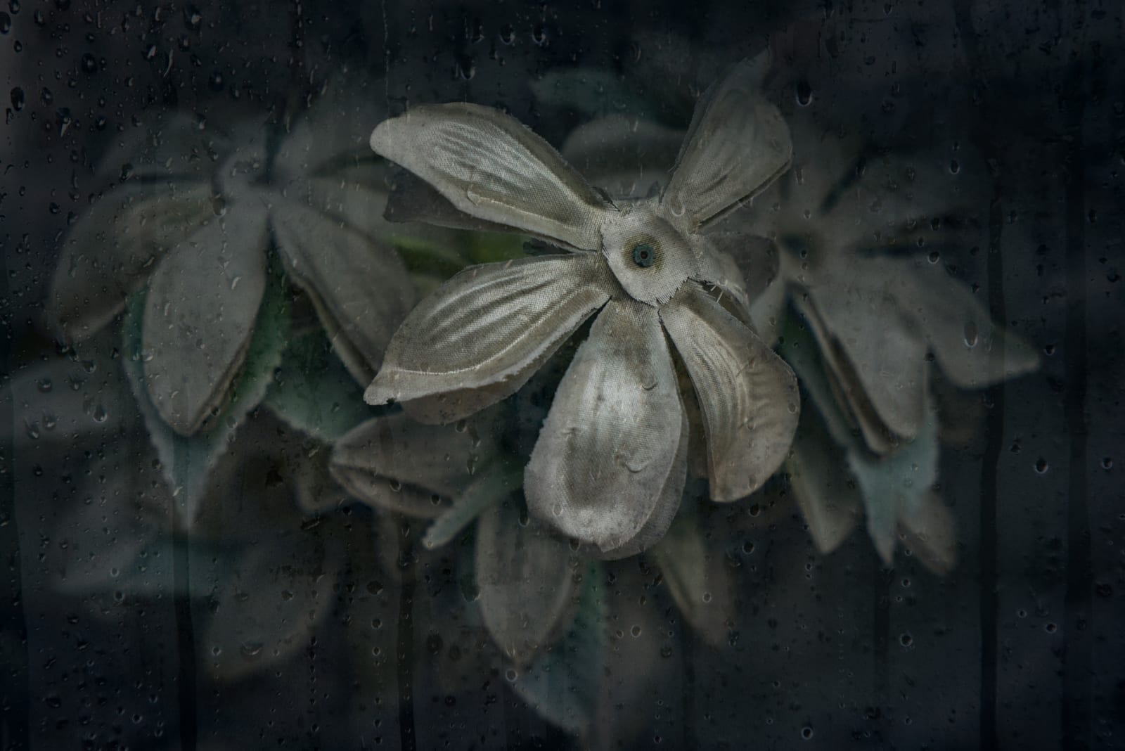 Christopher Thomas, Eternity 98, 2008