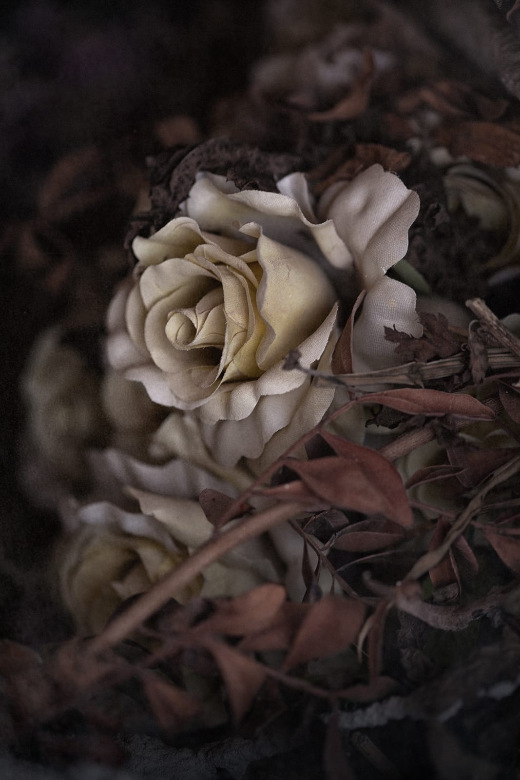 Christopher Thomas, Eternity 54, 2010