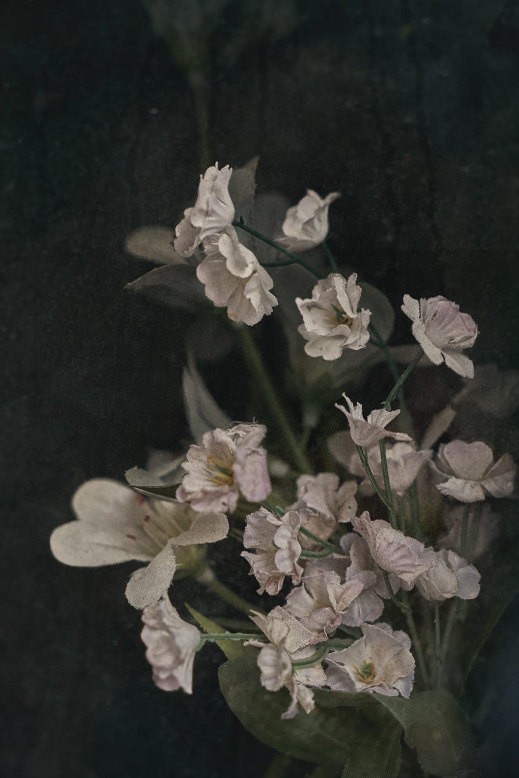 Christopher Thomas, Eternity 70, 2006