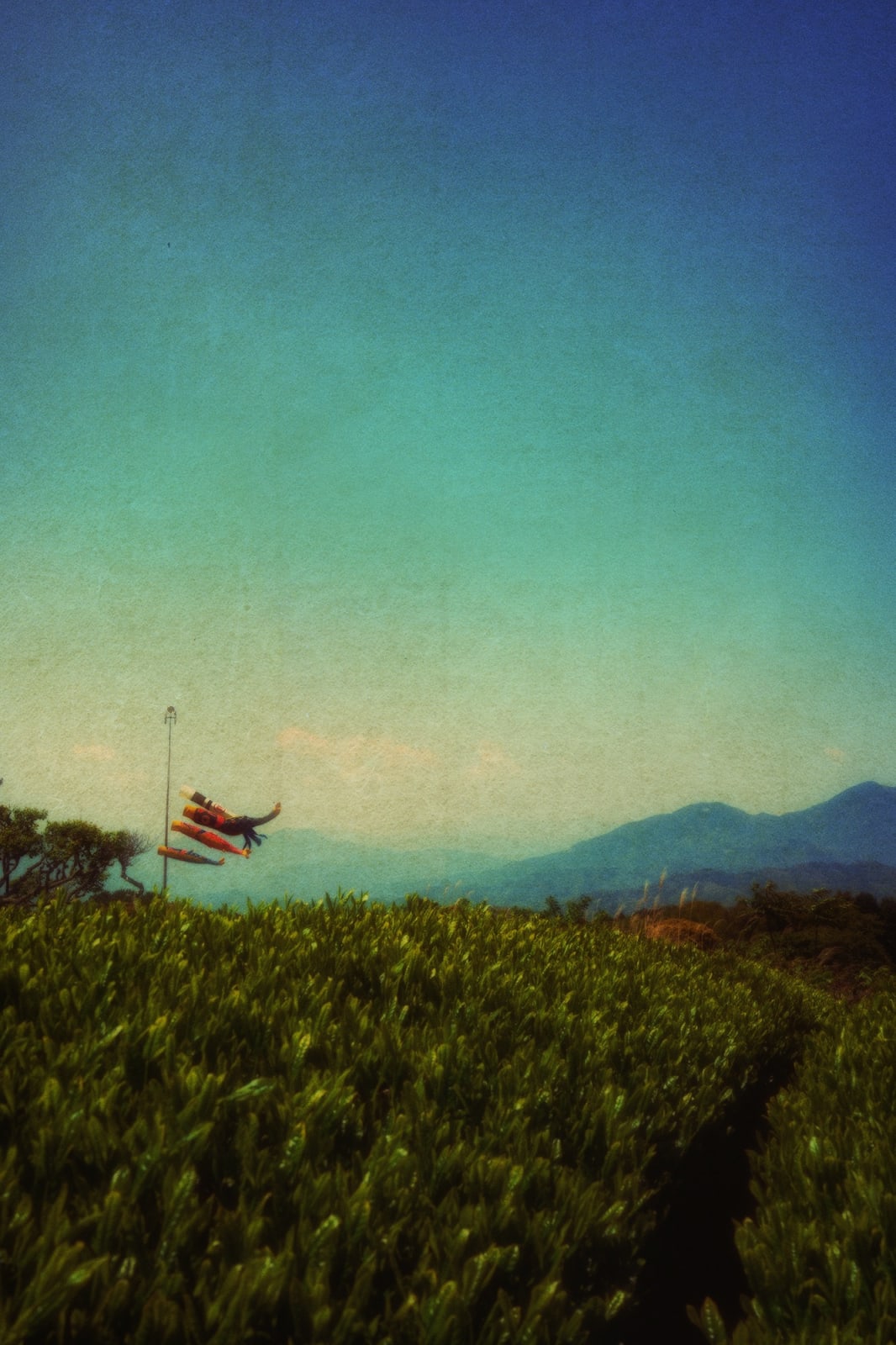 Albarrán Cabrera, The Mouth of Krishna, #784, 2018