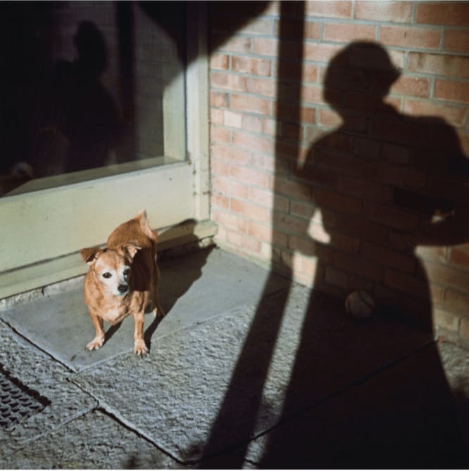 Vivian Maier, Self-portrait, Chicago Area , n.d.