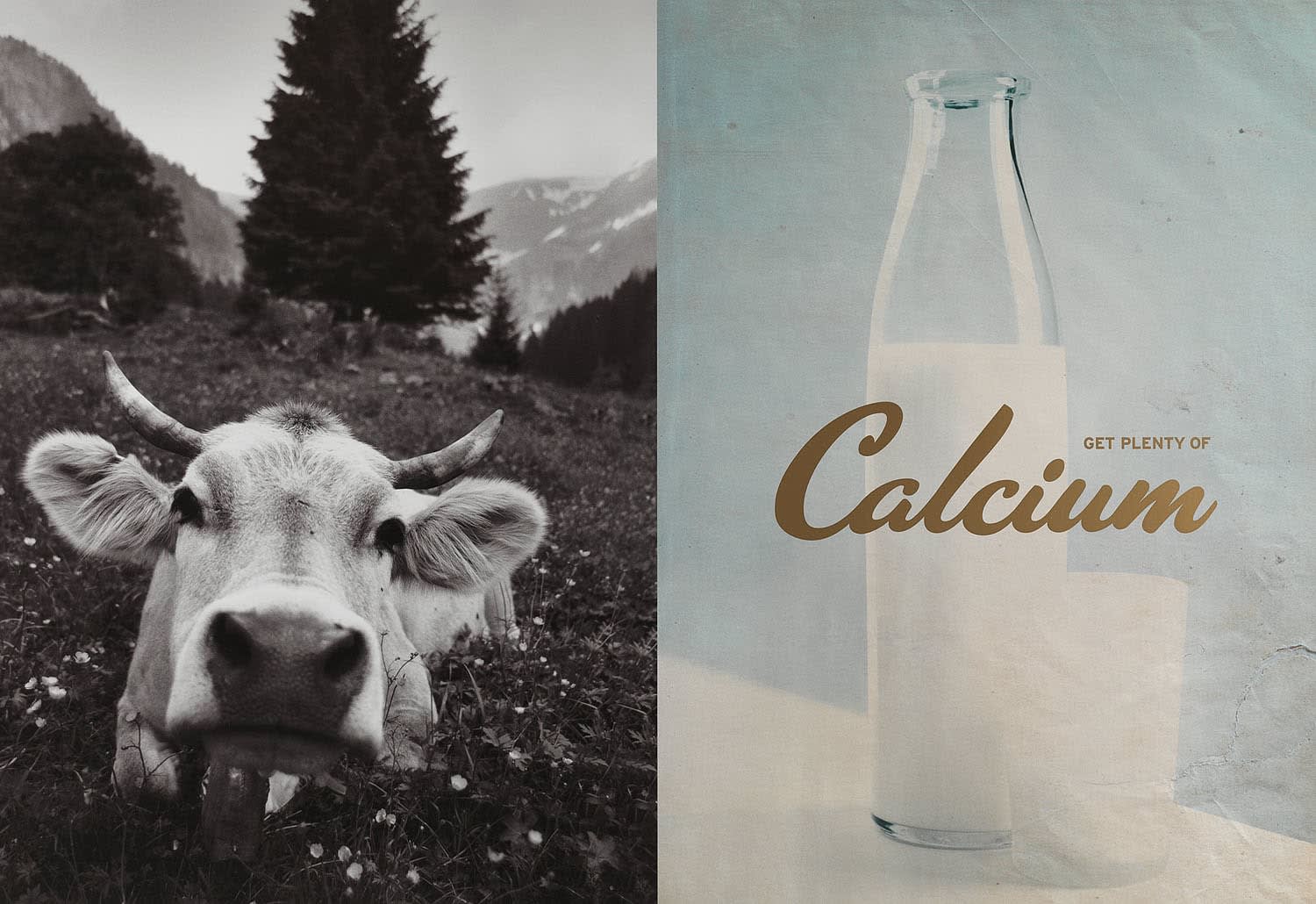 Christopher Thomas, Get plenty of Calcium, 2011