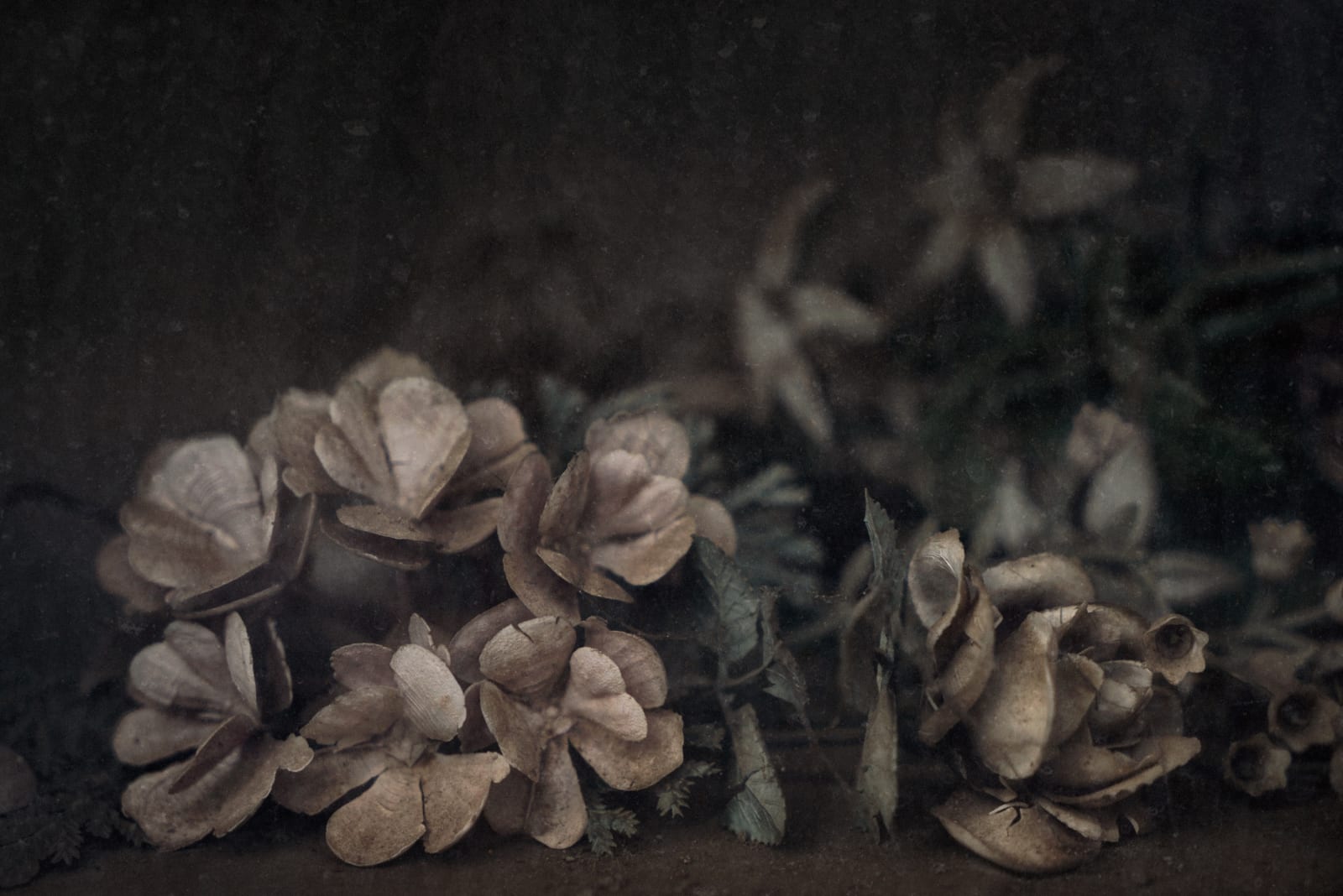 Christopher Thomas, Eternity 68, 2006