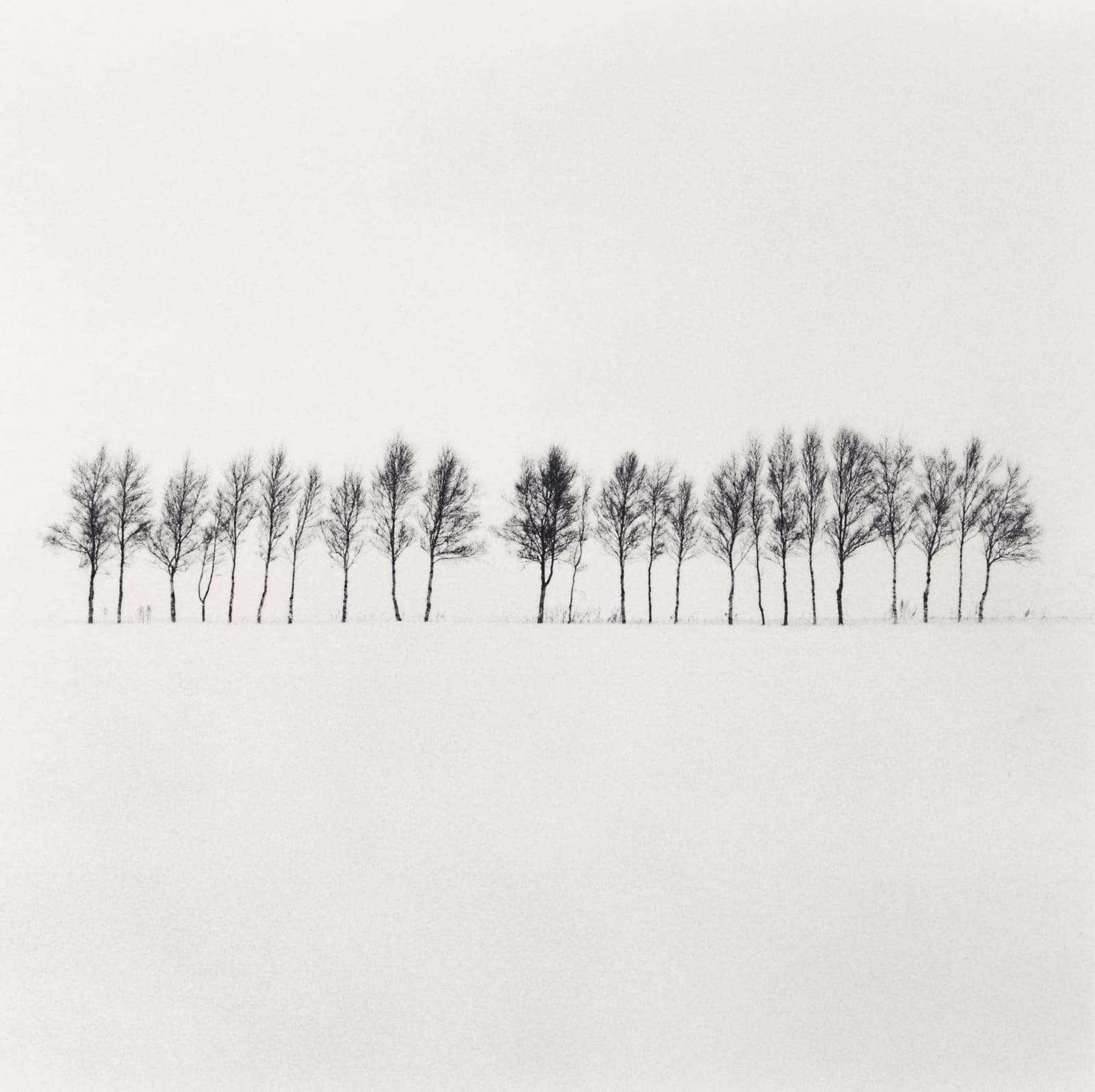 Michael Kenna, Twenty Four Trees, Abashiri, Hokkaido, Japan, 2005
