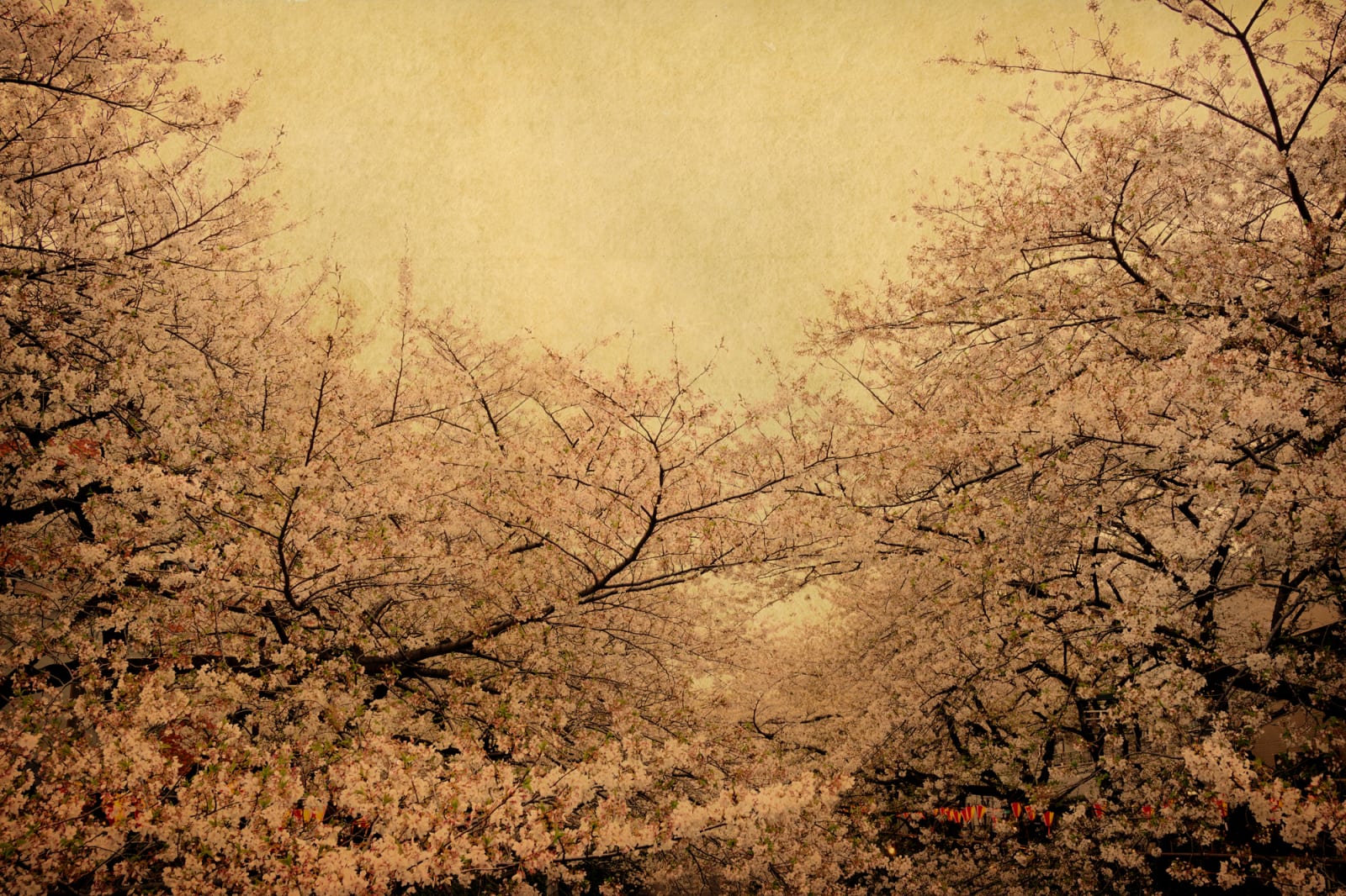 Albarrán Cabrera, The Mouth of Krishna, #191, Japan, 2013