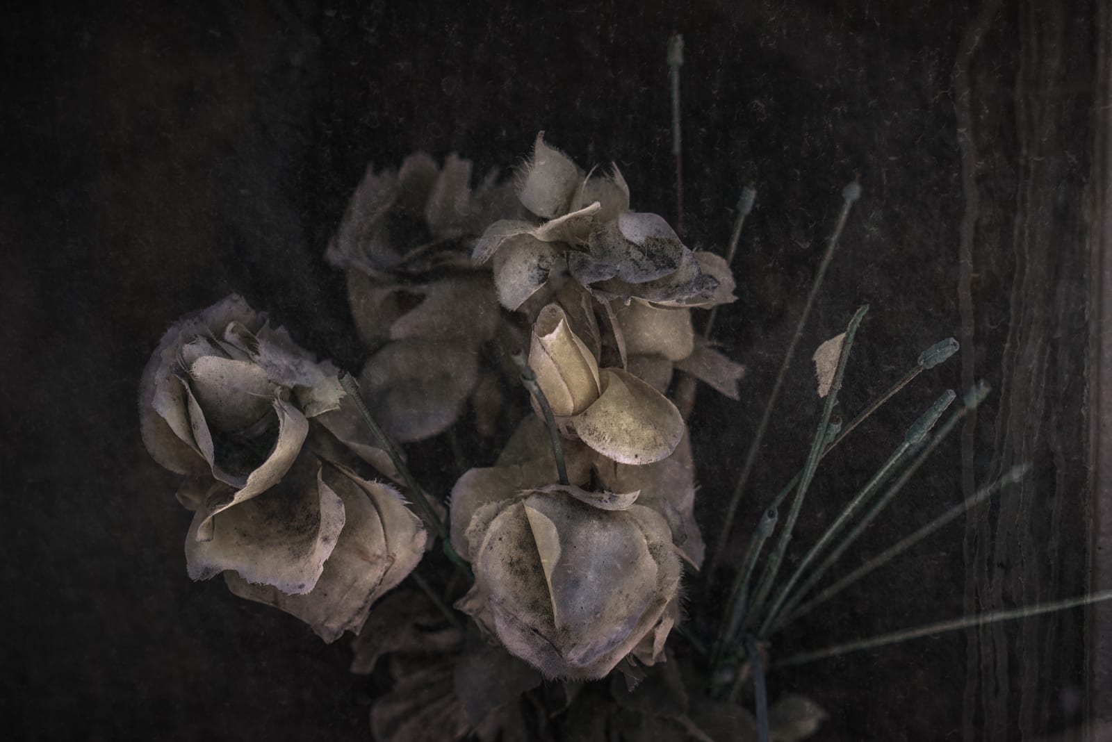 Christopher Thomas, Eternity 44, 2008