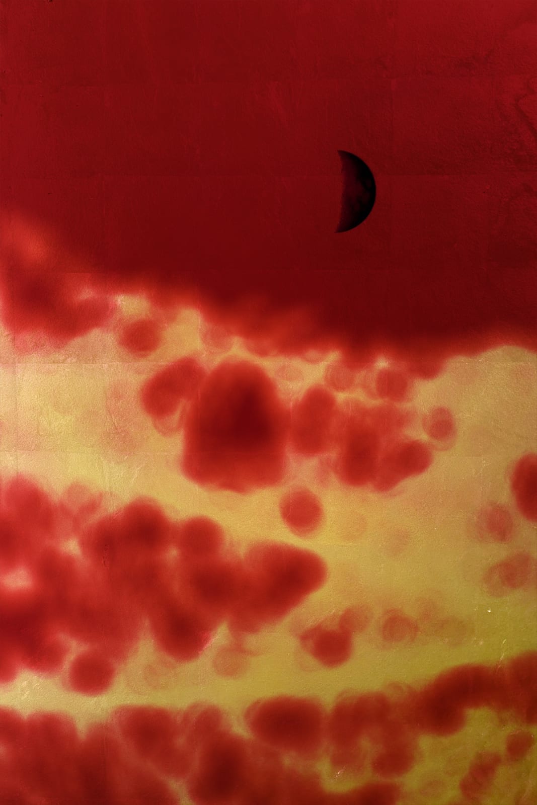 Albarrán Cabrera, The Indestructible #70008, 2024