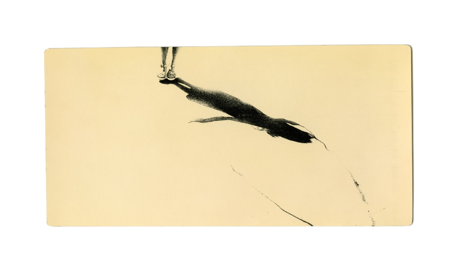 Miho Kajioka, BK0351, 2018